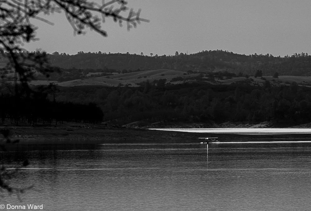 Before the take off-3709.jpg
