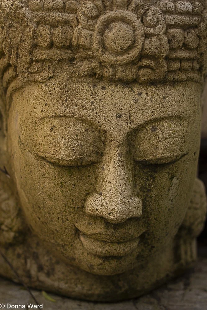 Statue Head-298.jpg