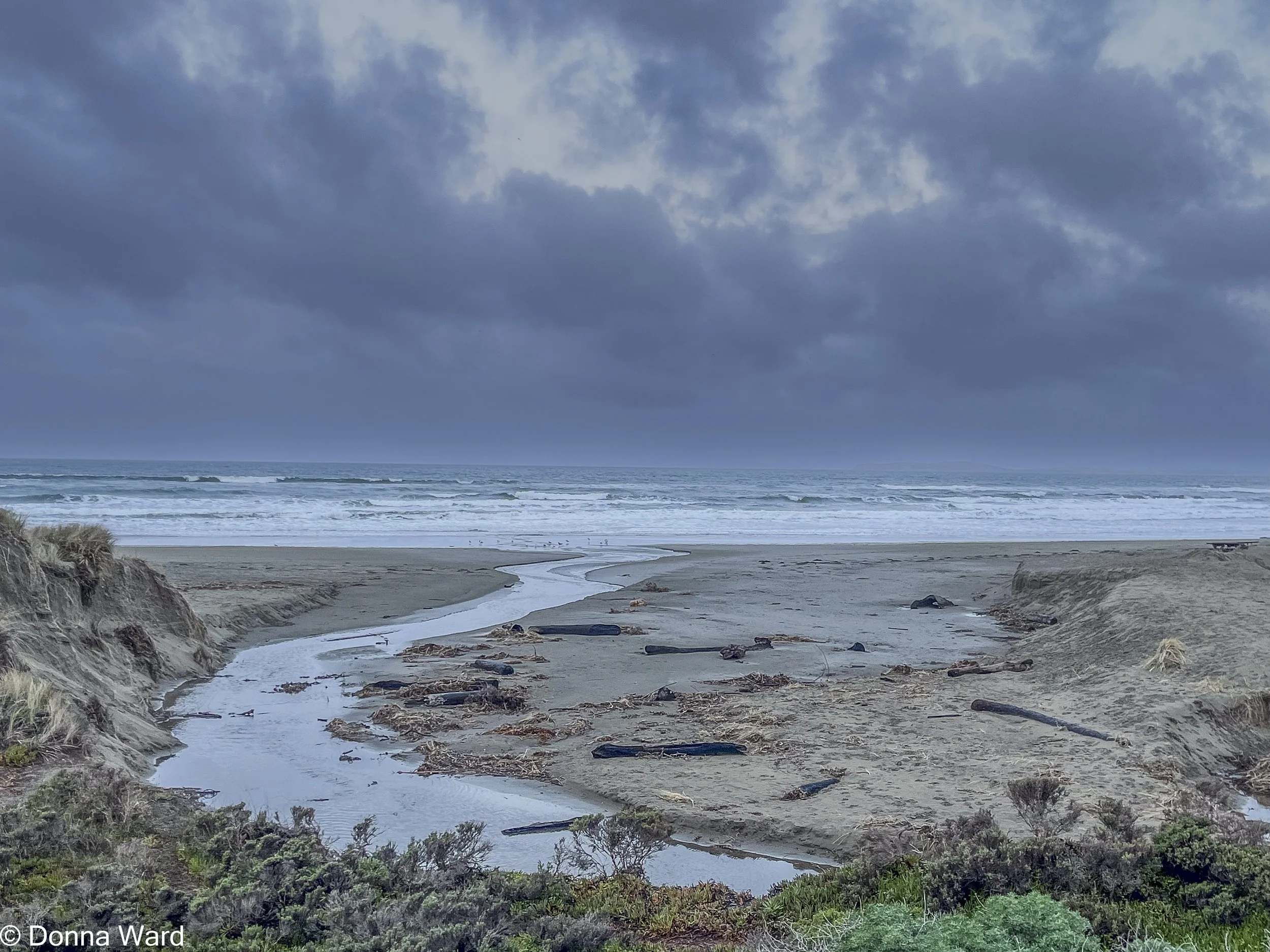 Beach Grey Day-2363.jpg
