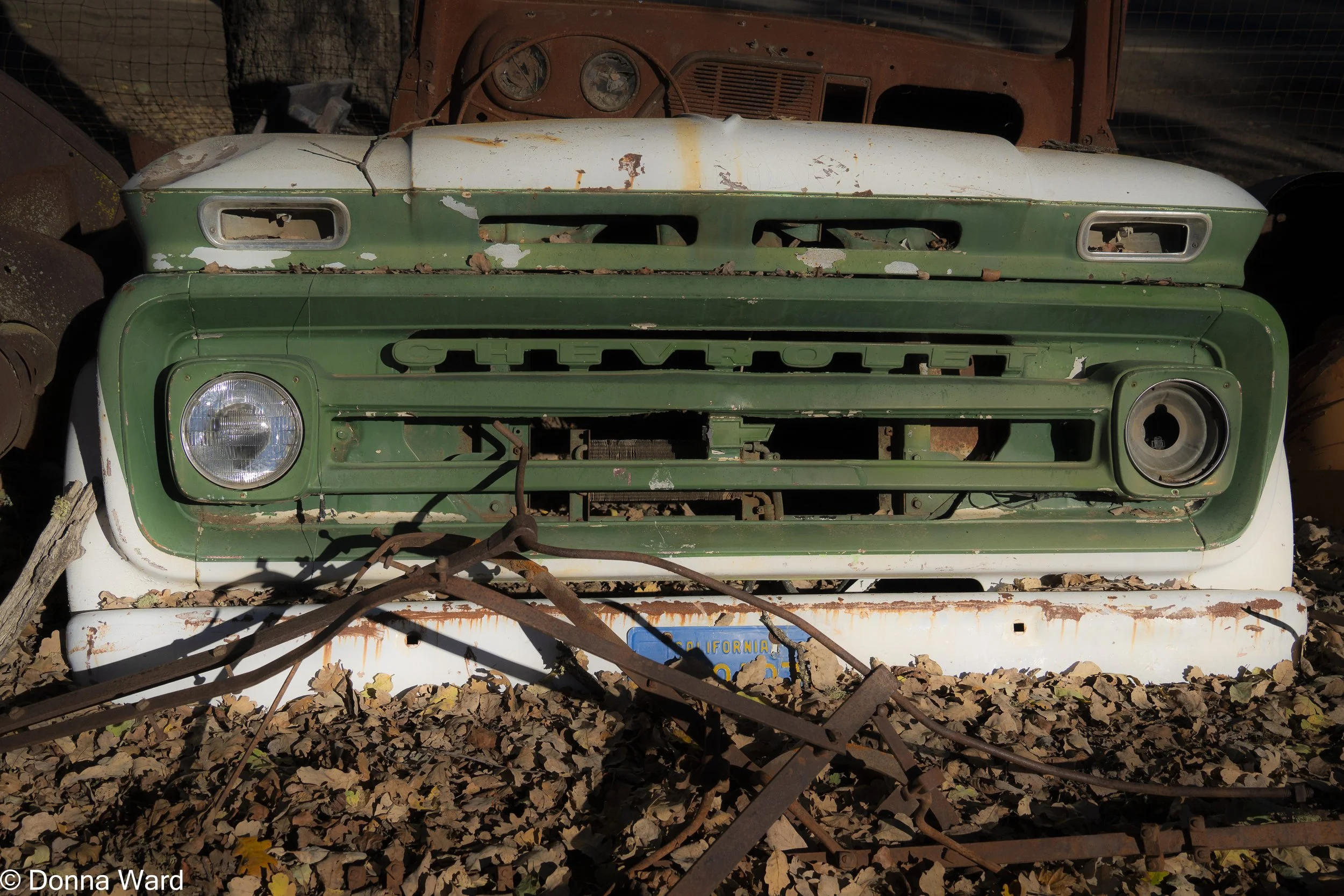 Green Grill-5326.jpg