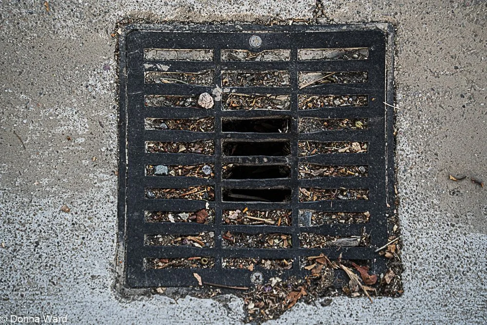 Drain-4706.jpg