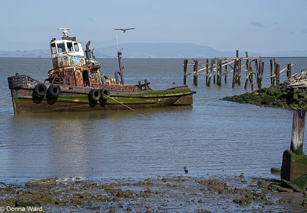 Shipwrecked-2984.jpg