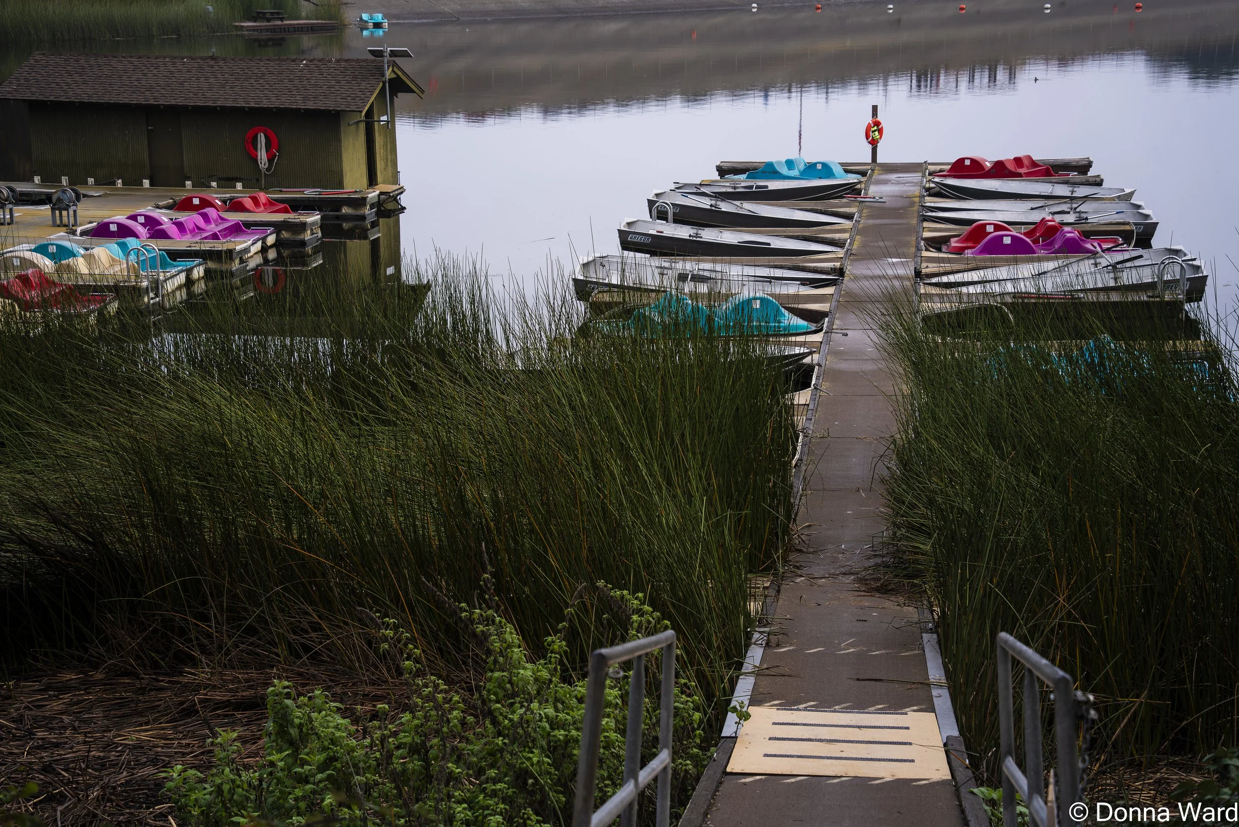 Colorful Paddle Boats-3601.jpg