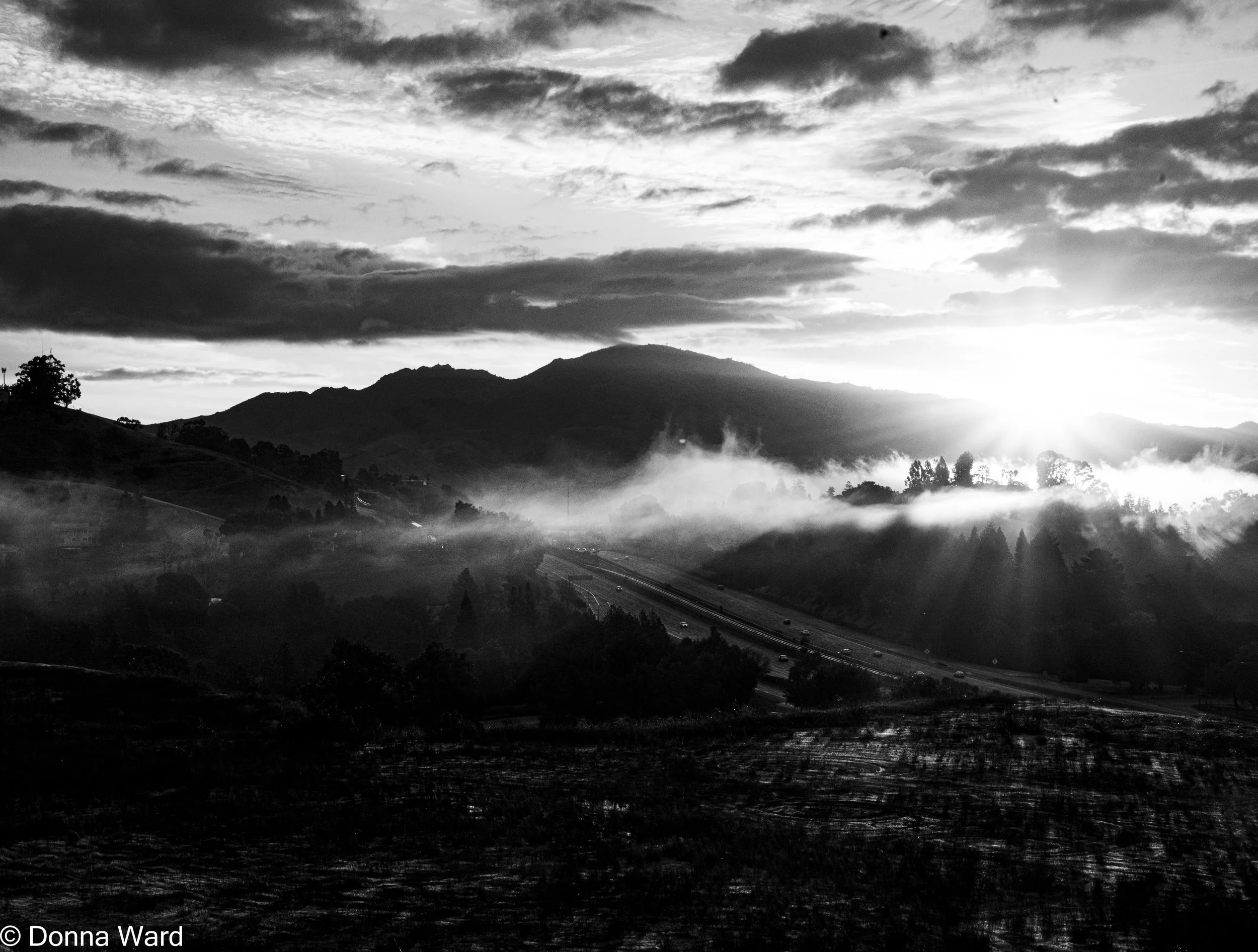 Foggy Sunrise Lafayette - BW-3802.jpg