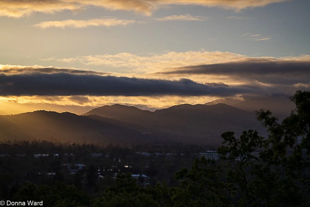 WC Sunrise-598.jpg
