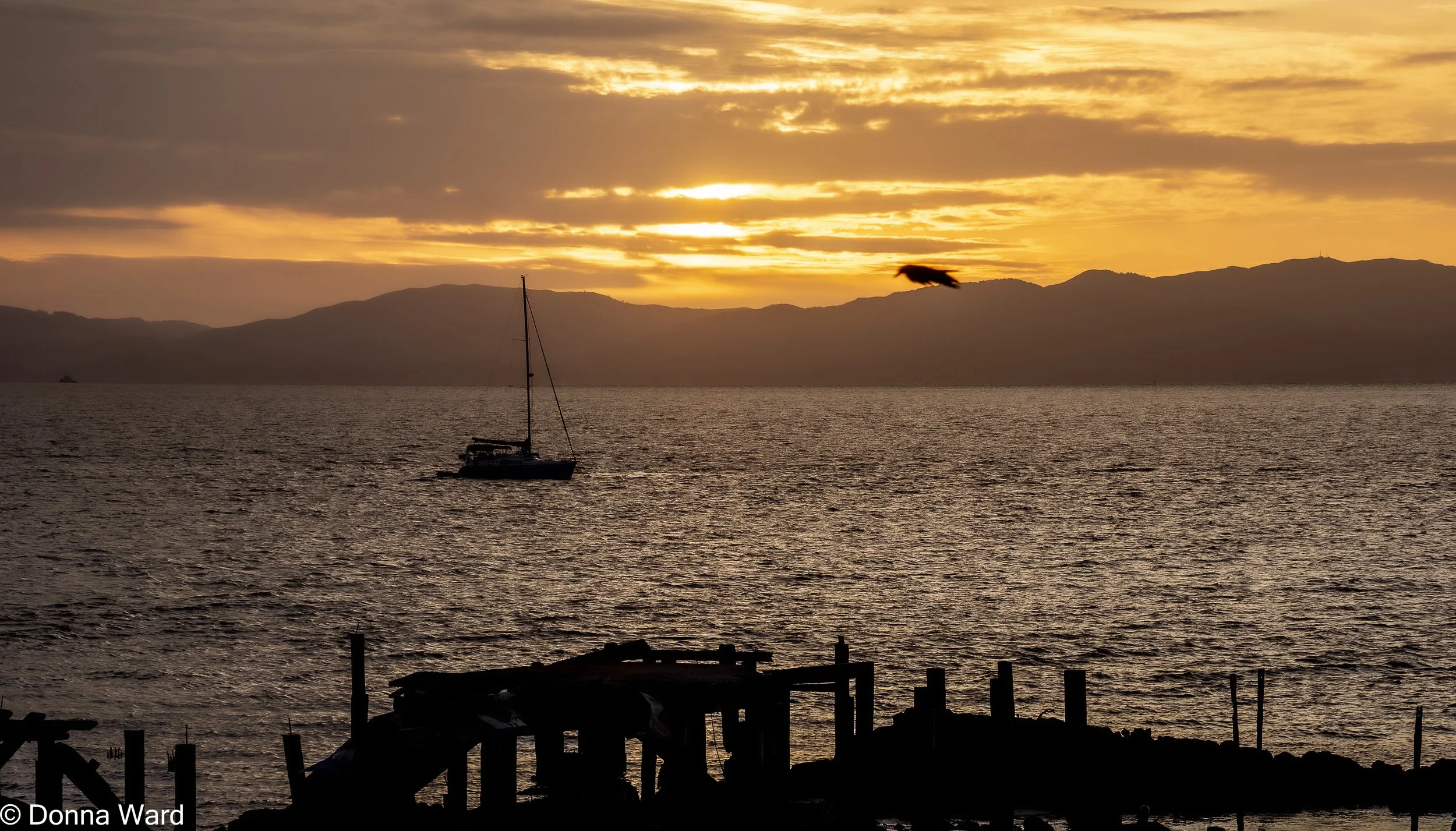 Rodeo Sunset-063.jpg