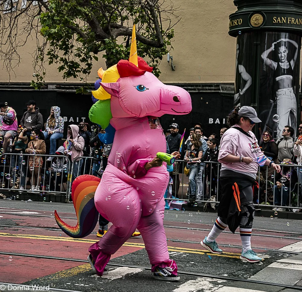 Pink Rainbow Pony-4274.jpg