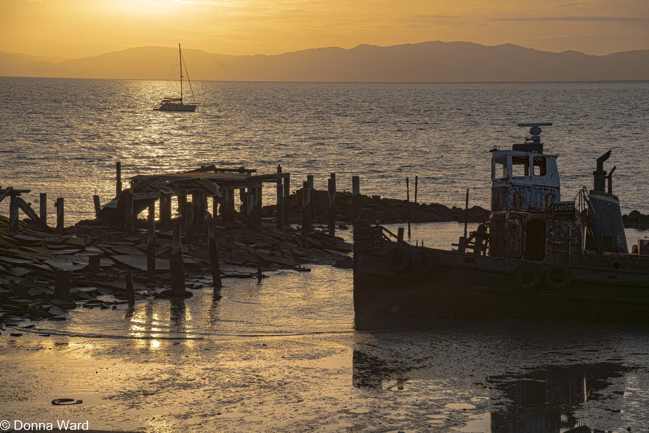 Shipwreck Rodeo-019.jpg