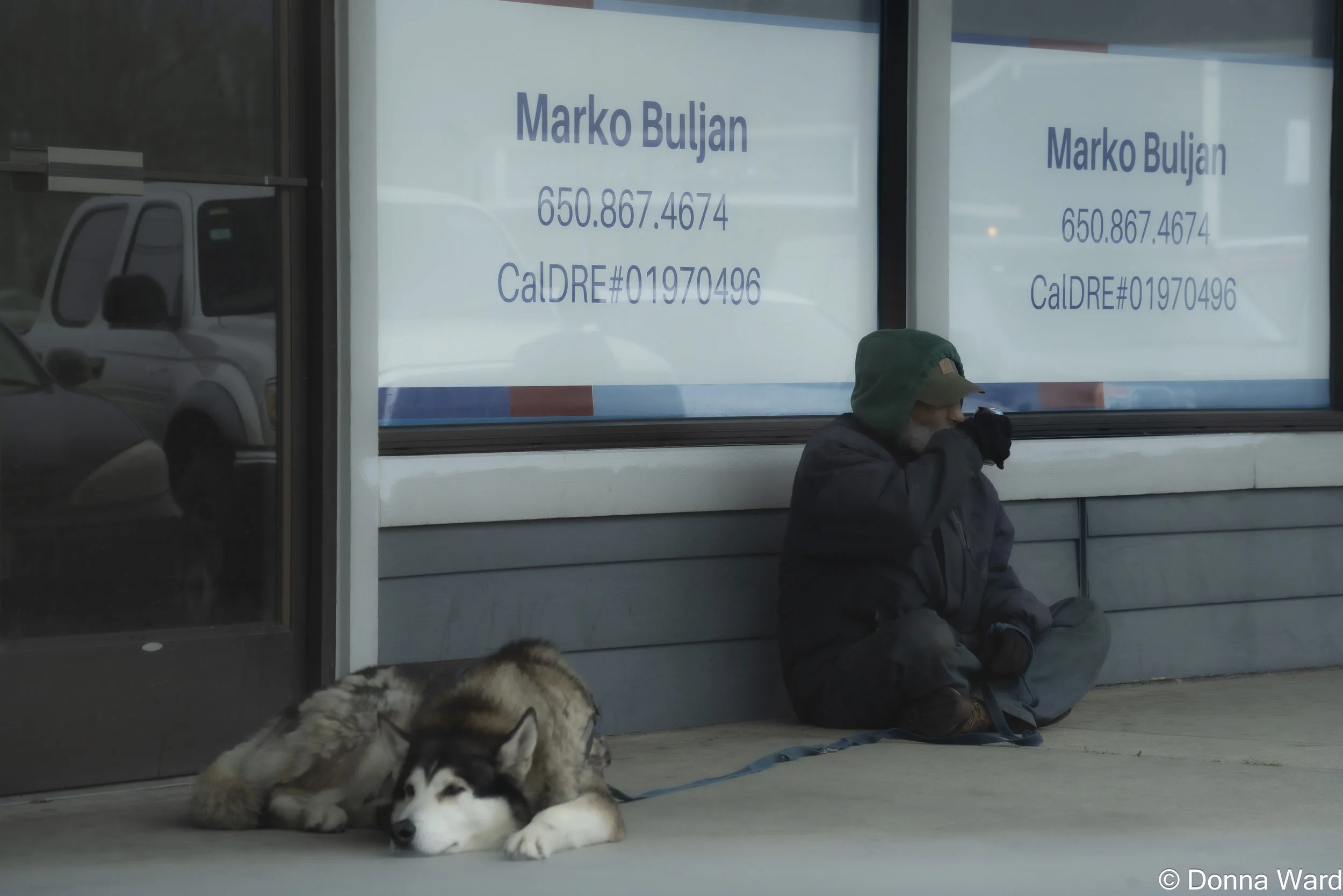 Husky companion-746.jpg