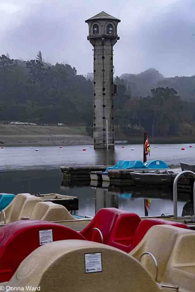 Paddle Boats docked-3572.jpg