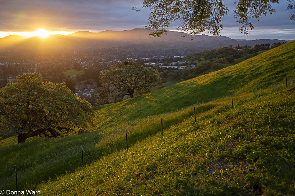 Dino Hill Sunrise-4139.jpg