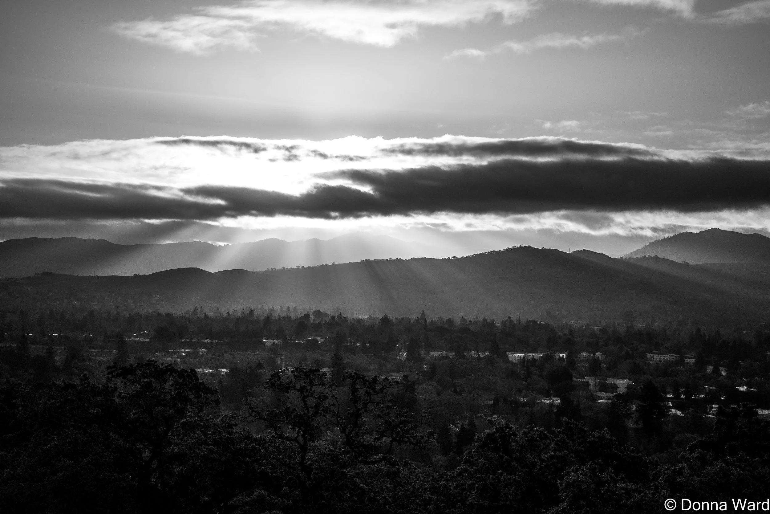 Dark Morning-602.jpg