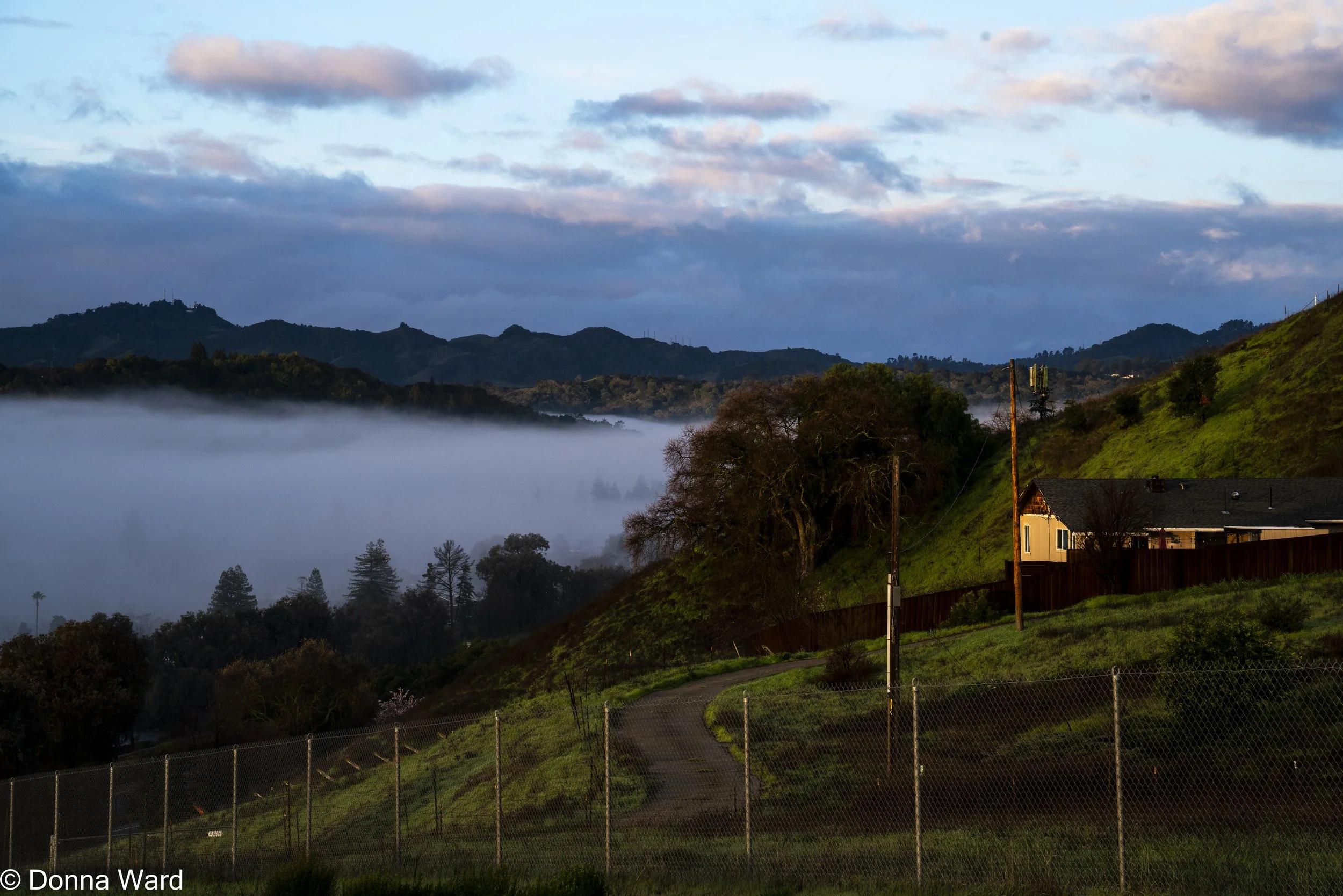 Fog to Orinda-3815.jpg