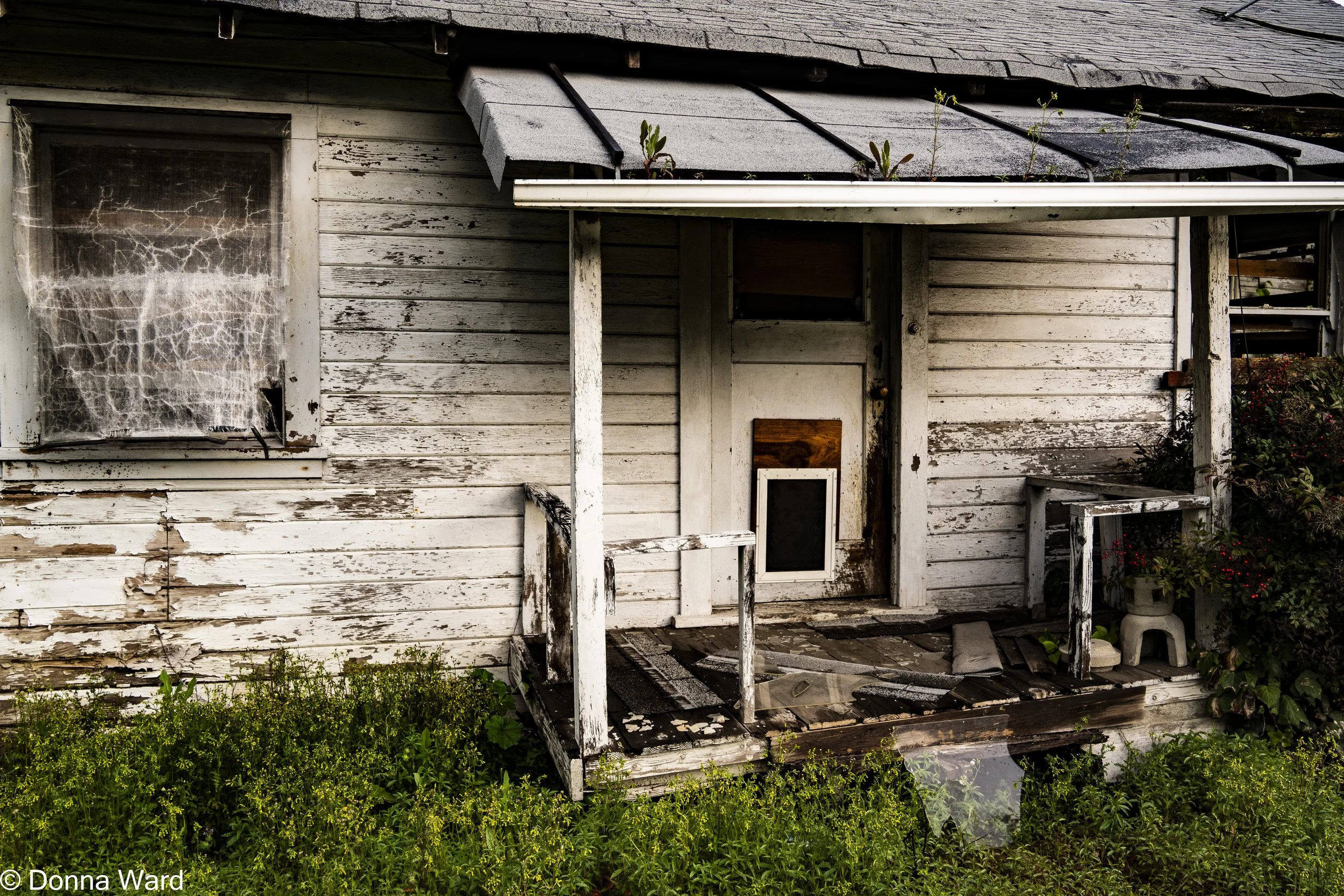 Abandoned  Lft side 33% .2-3863.jpg