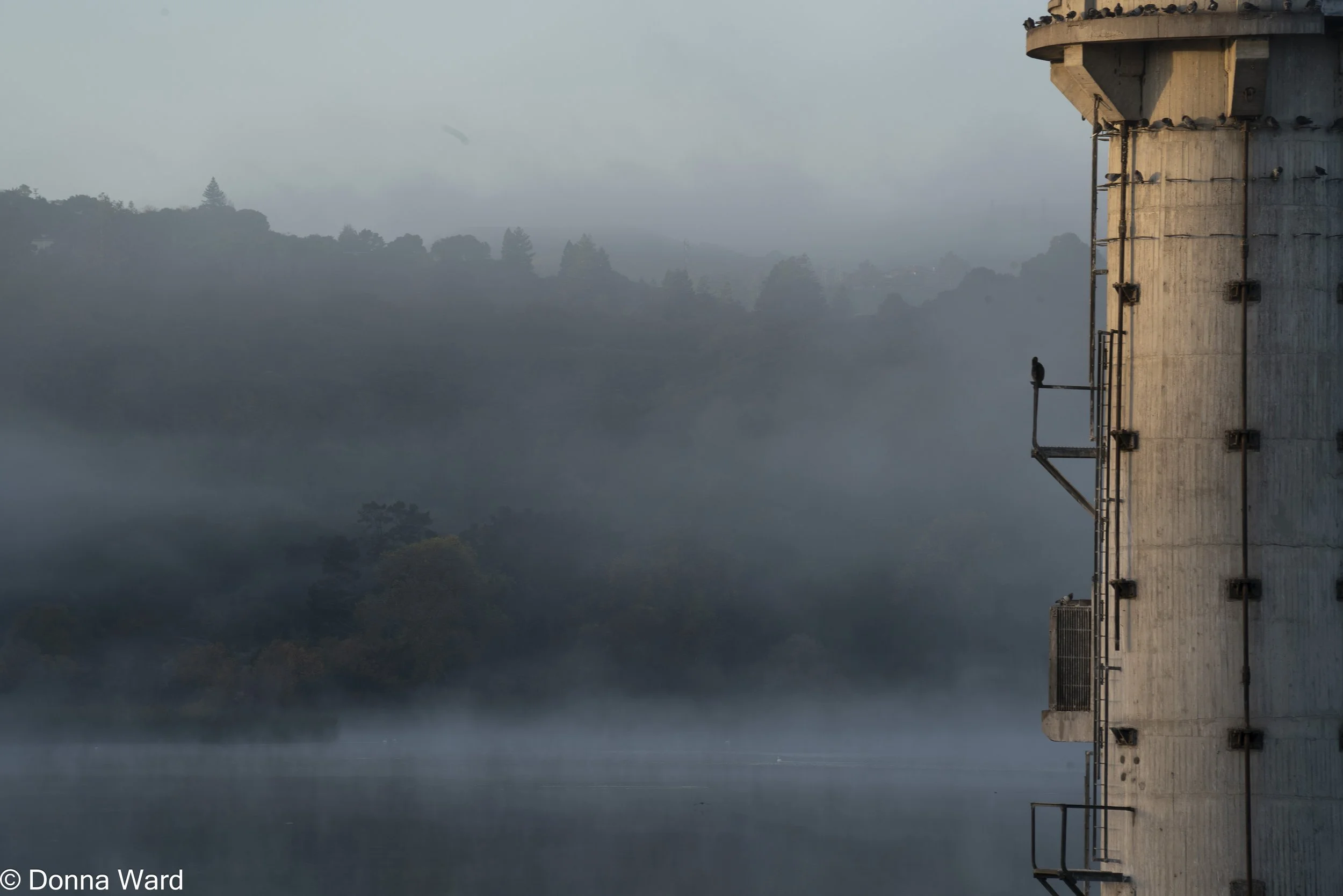 Res Tower no PP-3458.jpg