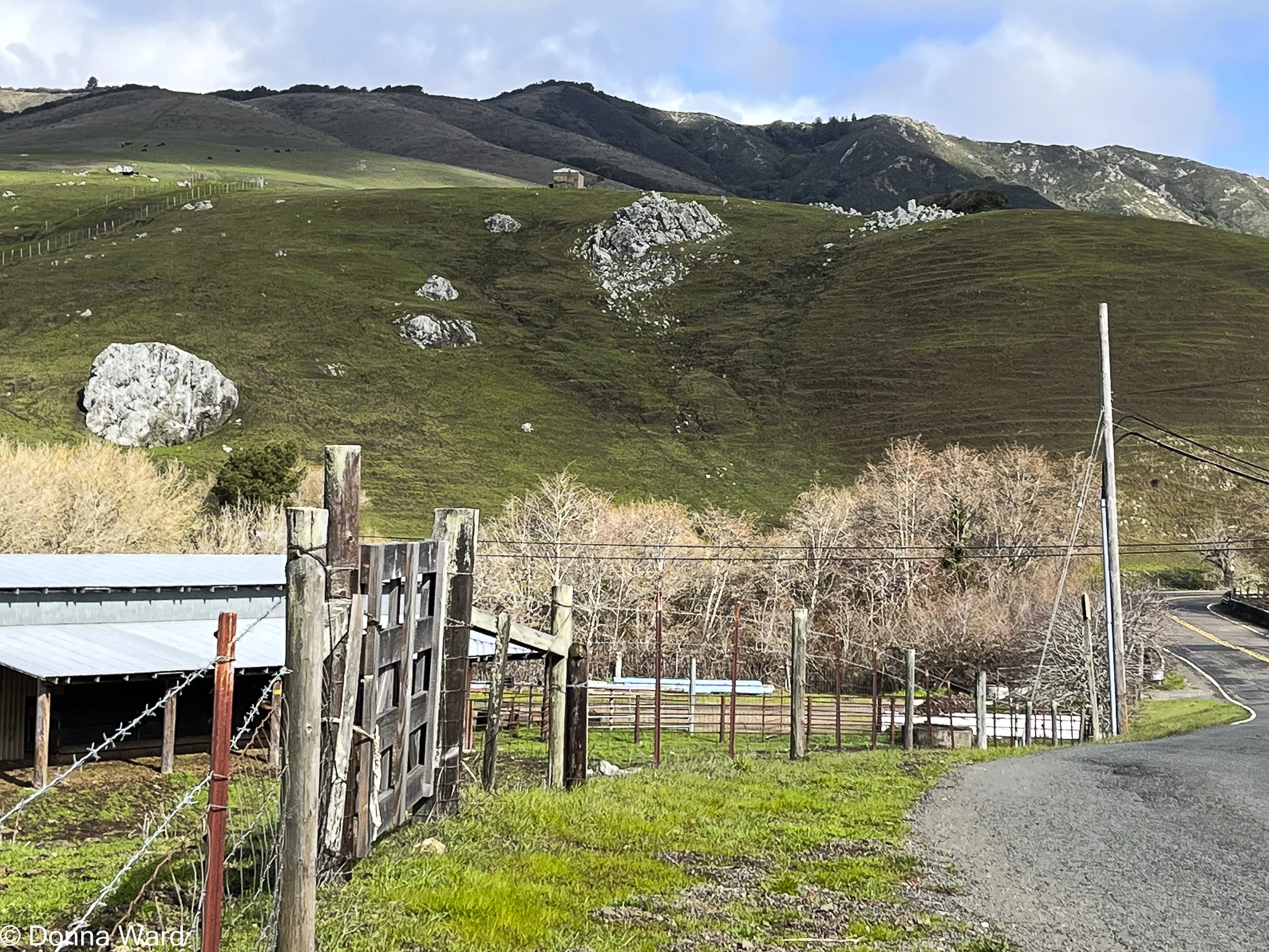Sonoma County Road-2472.jpg