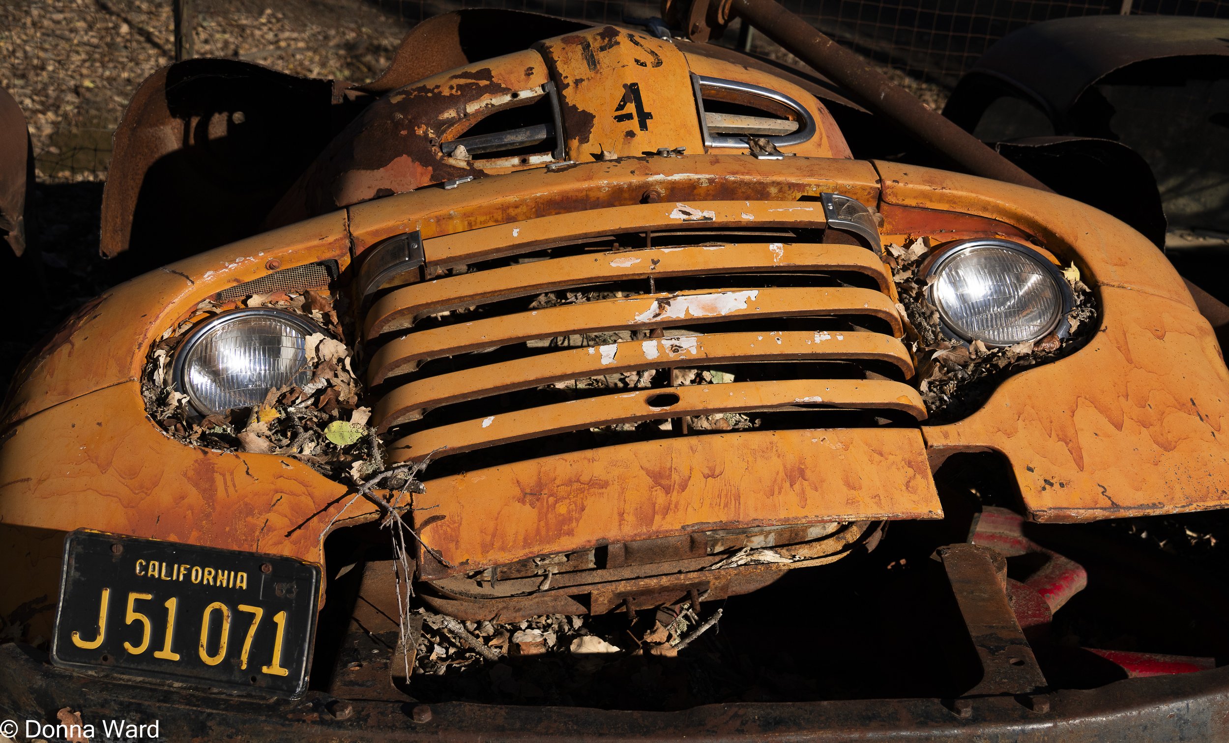 071 Relic-5325.jpg