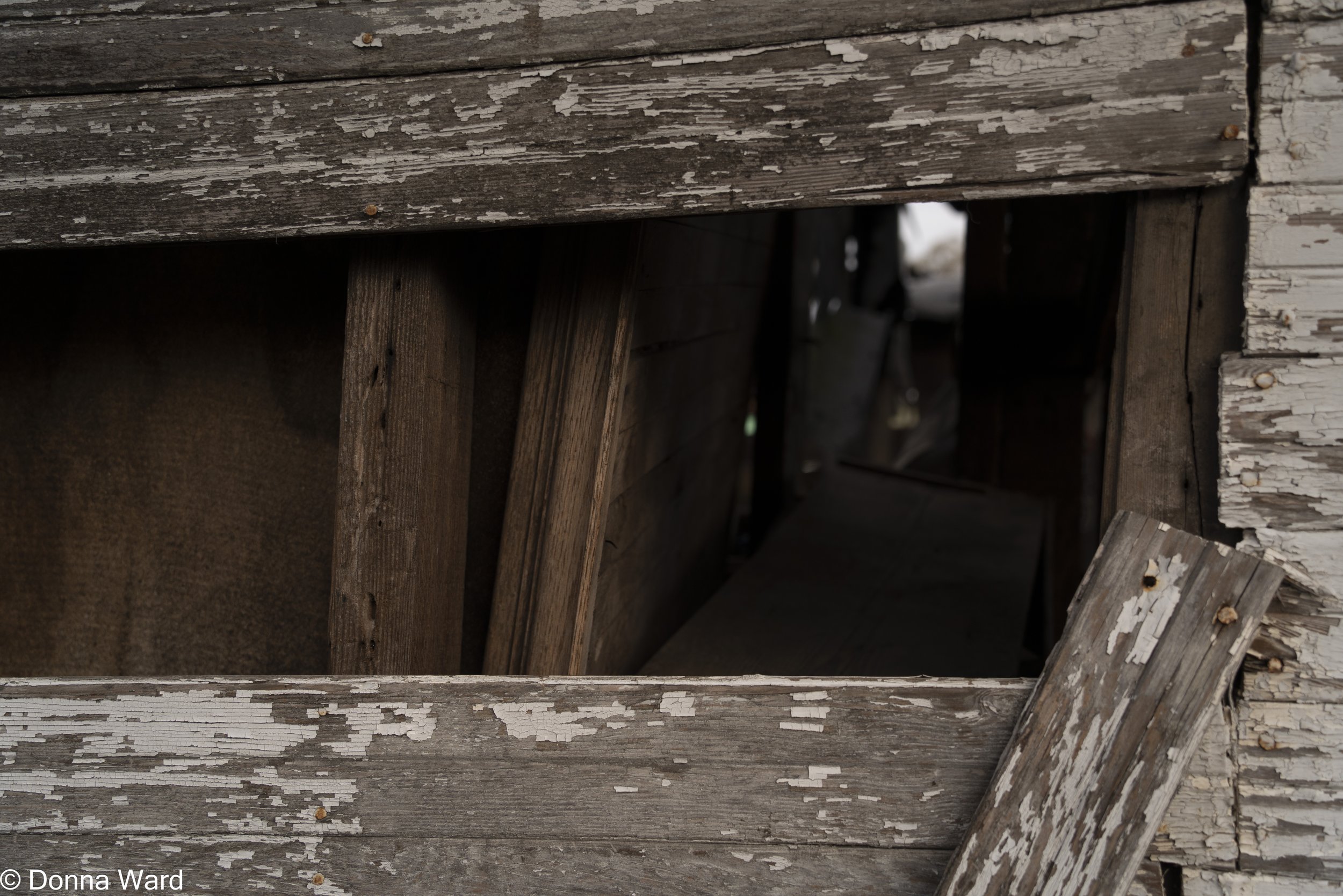 Abandoned up close Lft side 33%-3851.jpg