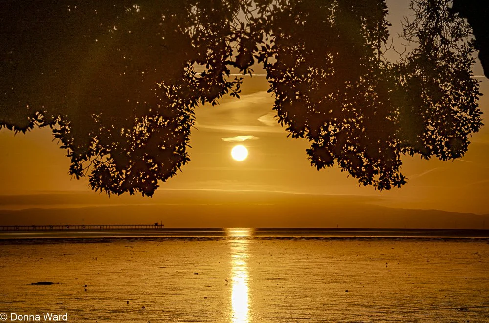 South SF Sunrise-638.jpg