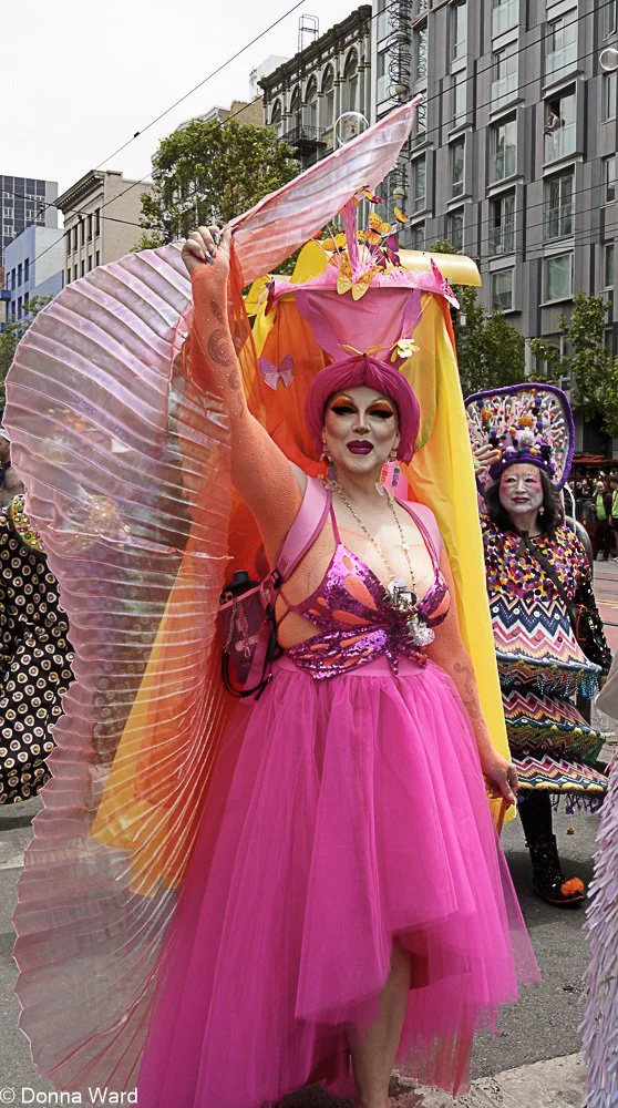 Pink Fairy-10140.jpg
