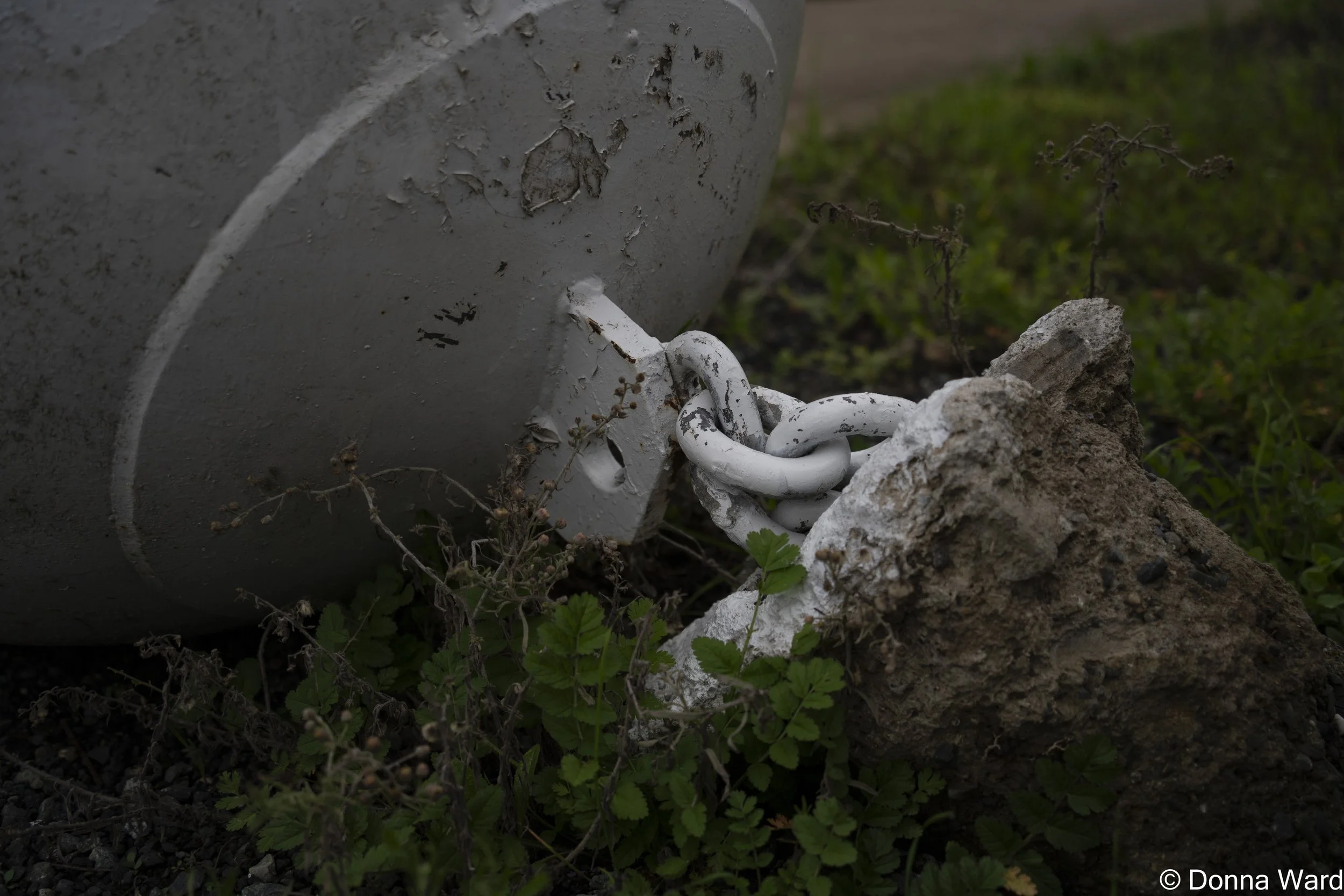 Buoy Close Up Mtz-3792.jpg