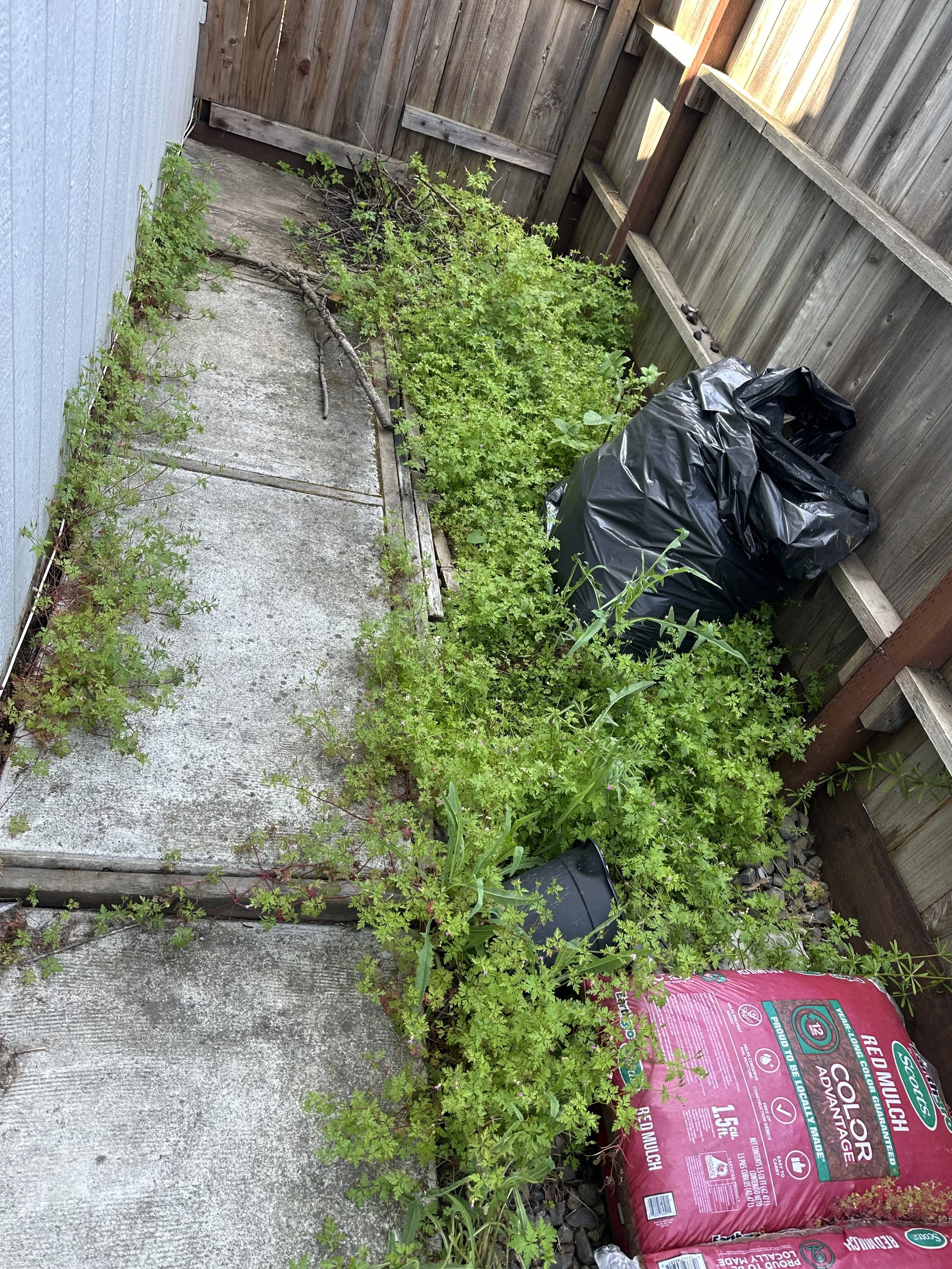 IMG_0025.jpeg