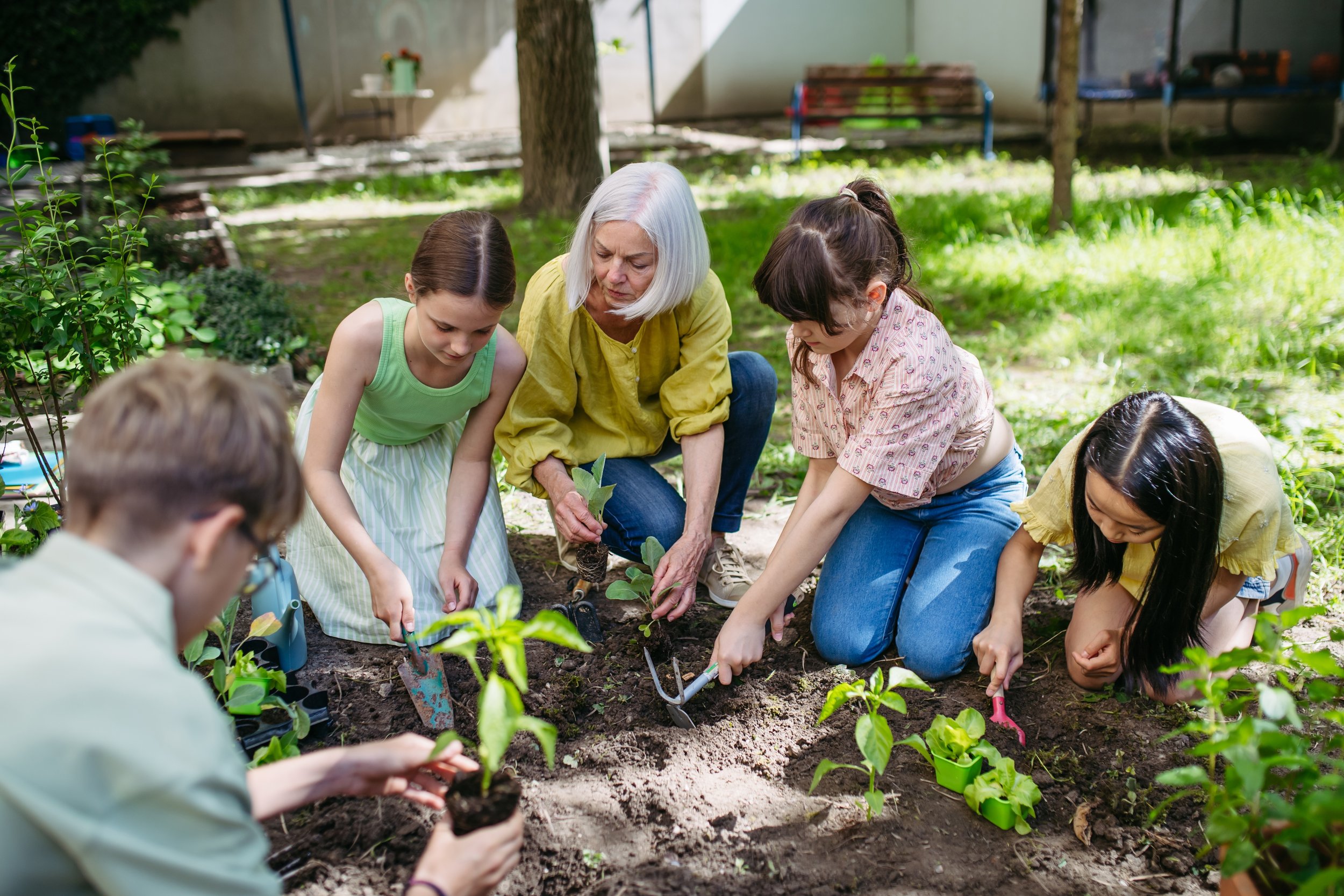 A group of five people, including one elderly woman and four young girls, planting young seedlings in a garden on a sunny day.