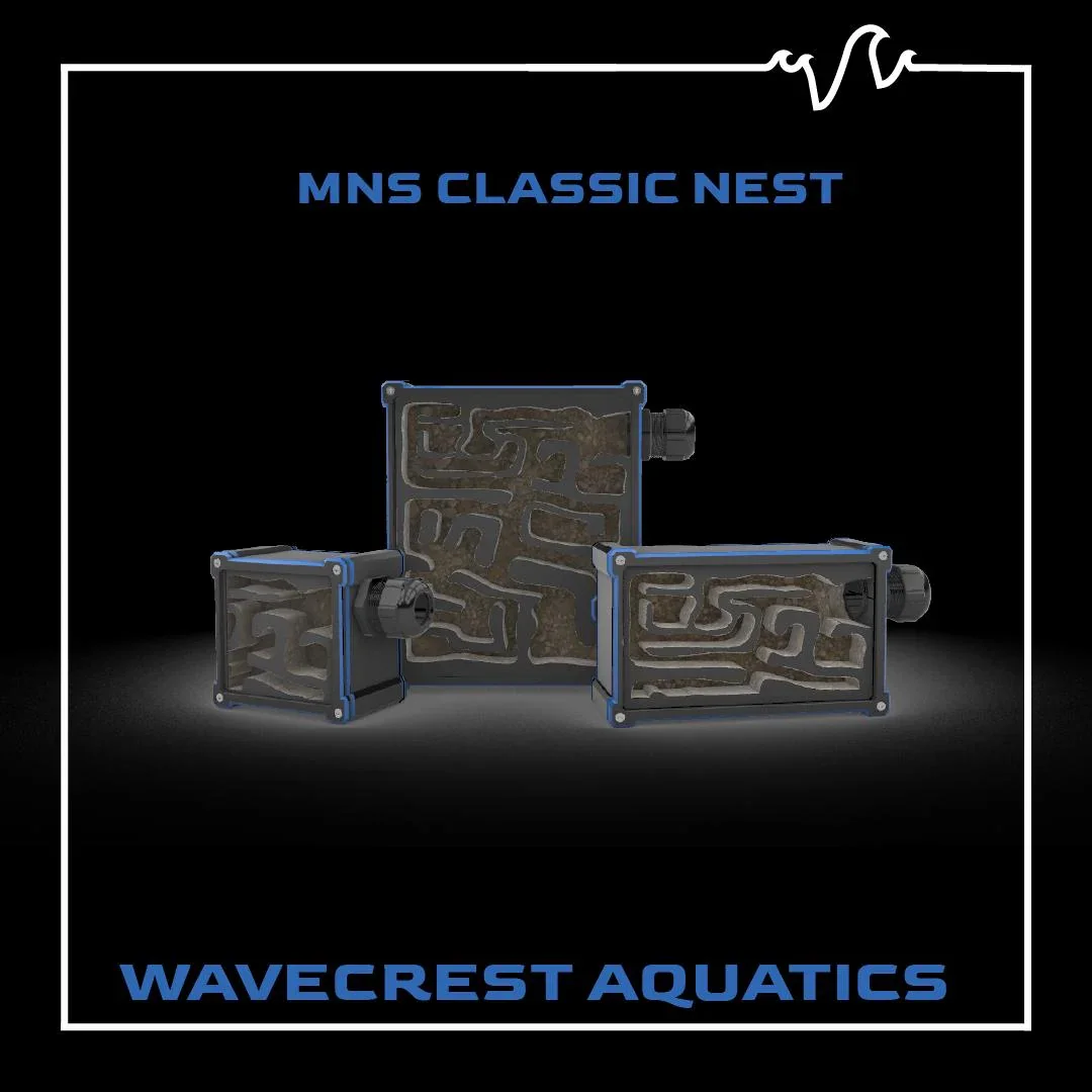 Classic nest.webp