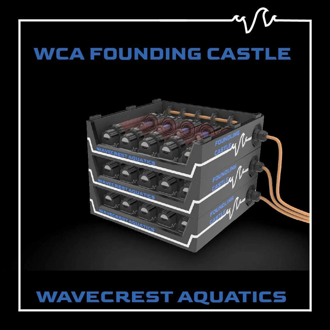 founding castle.jpg