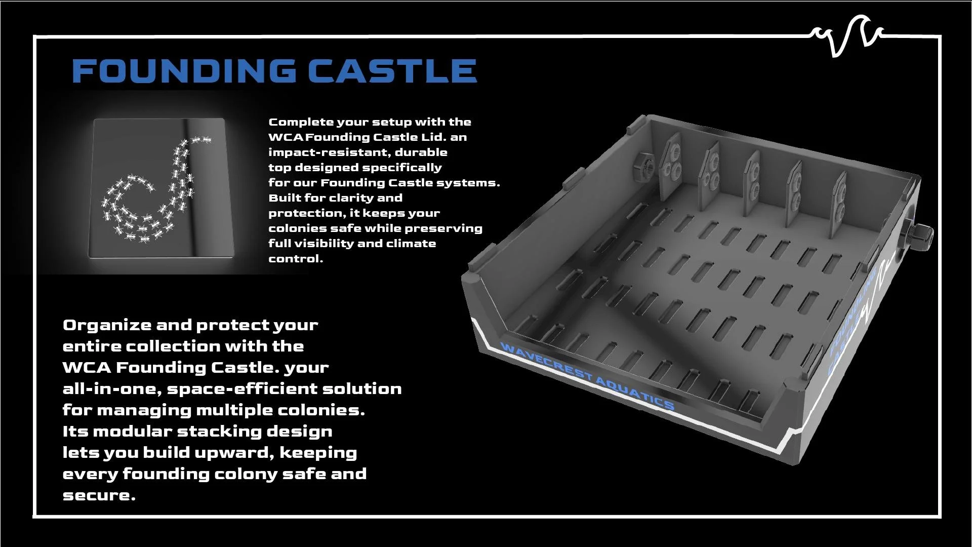 founding castle 2.jpg