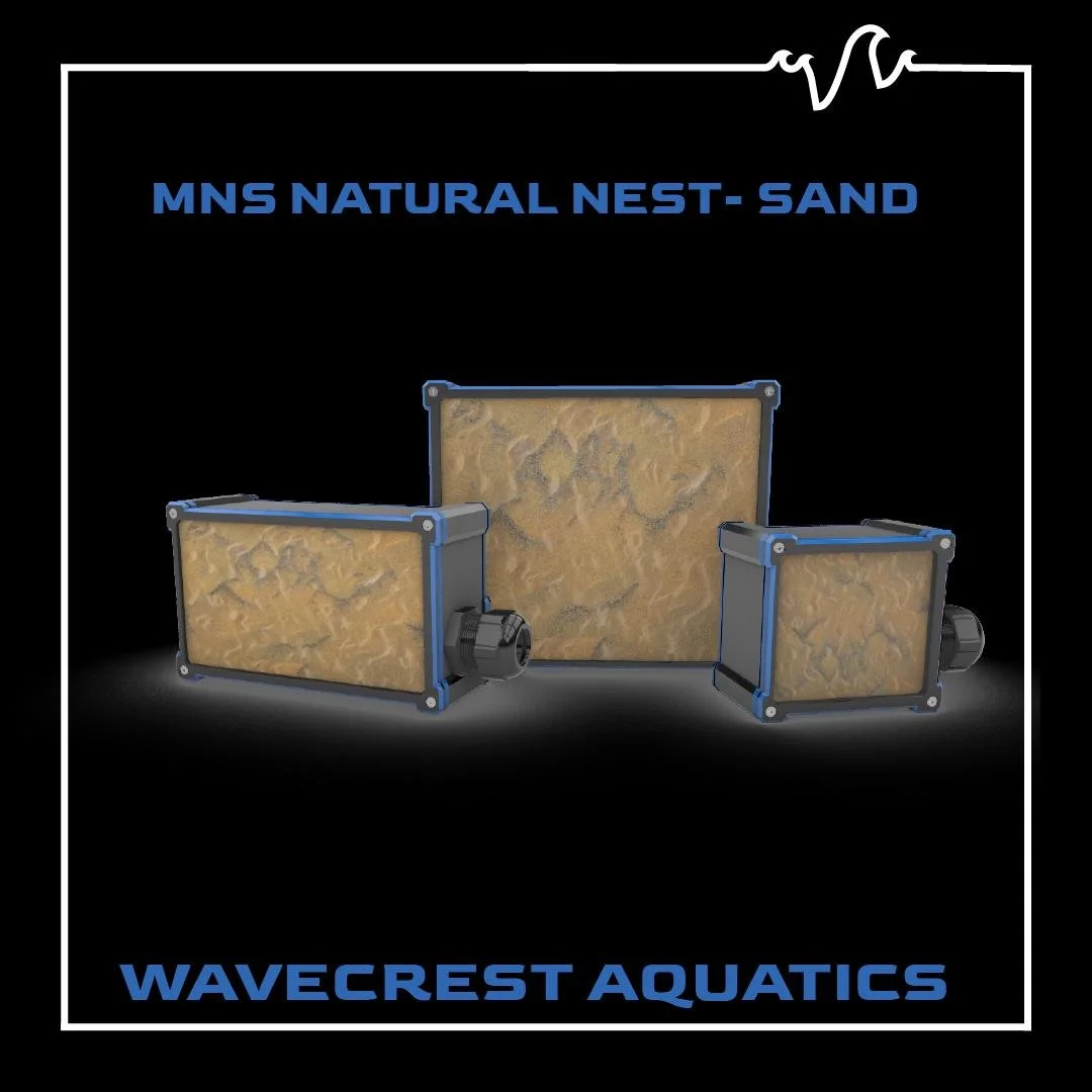 MNS SAND.jpg