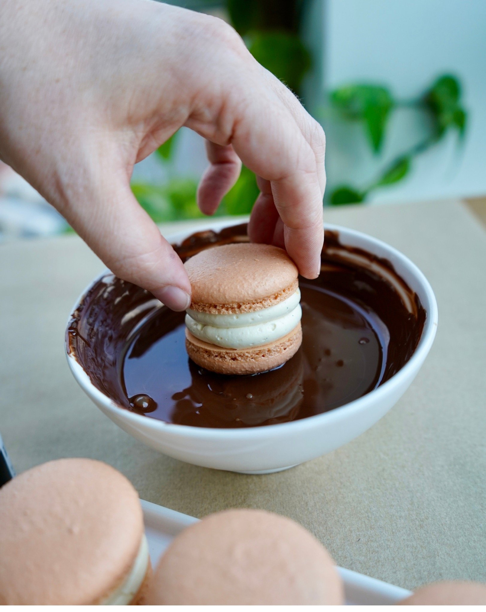 Buttercream Volume 3 - Macaron Filling Collection 179.jpeg