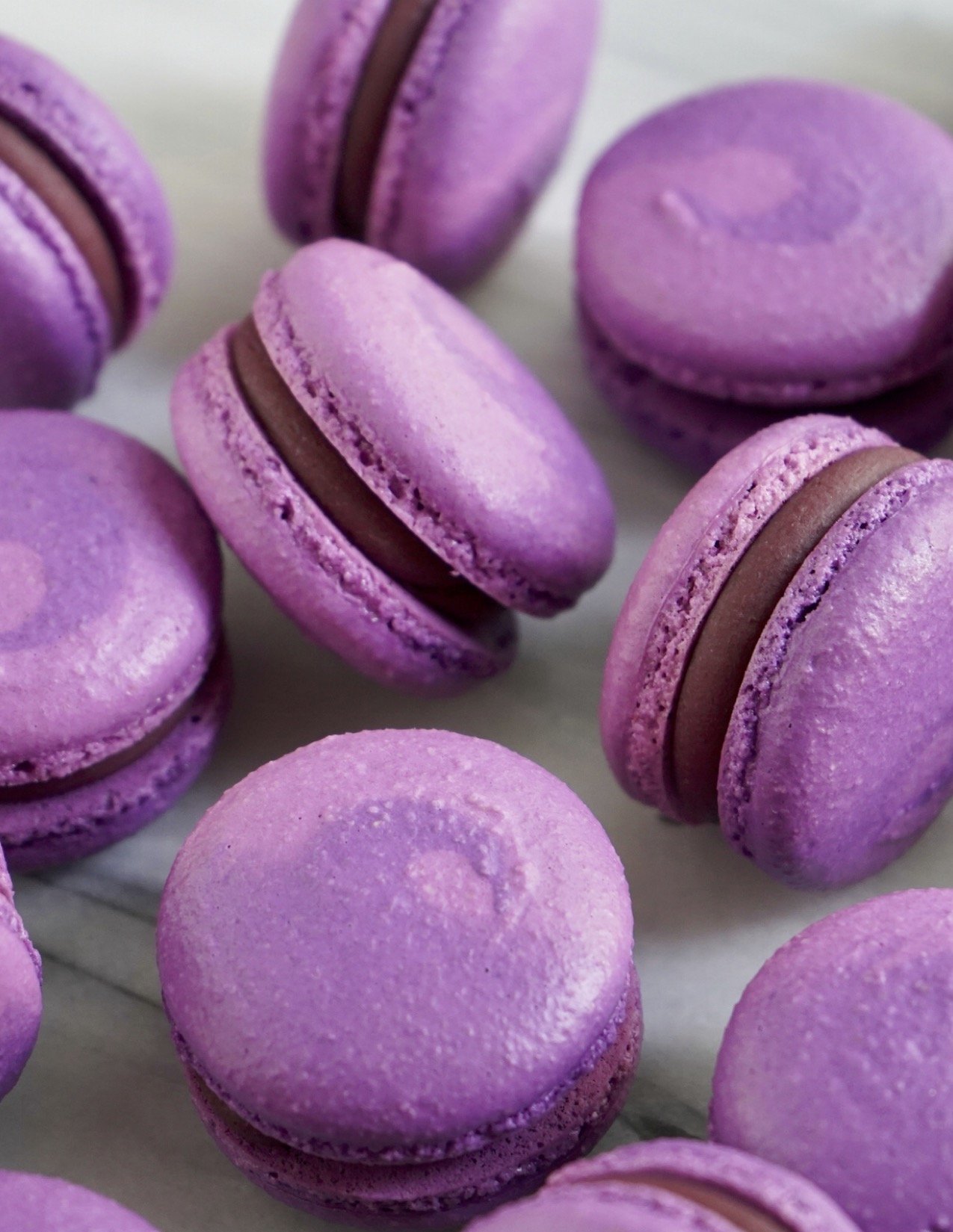 purple.jpg