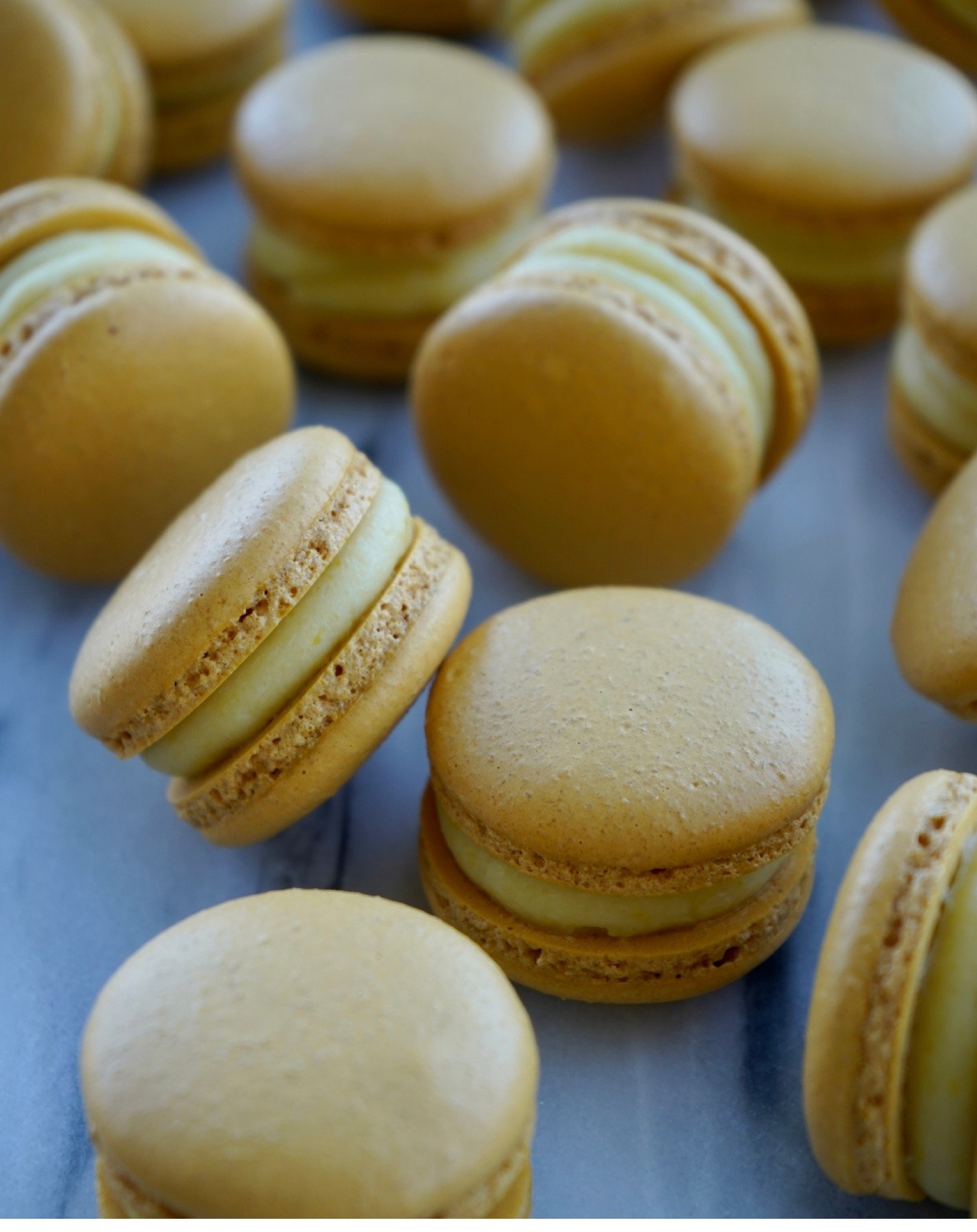 Ganache Volume 3 - Macaron Filling Collection 50.jpeg