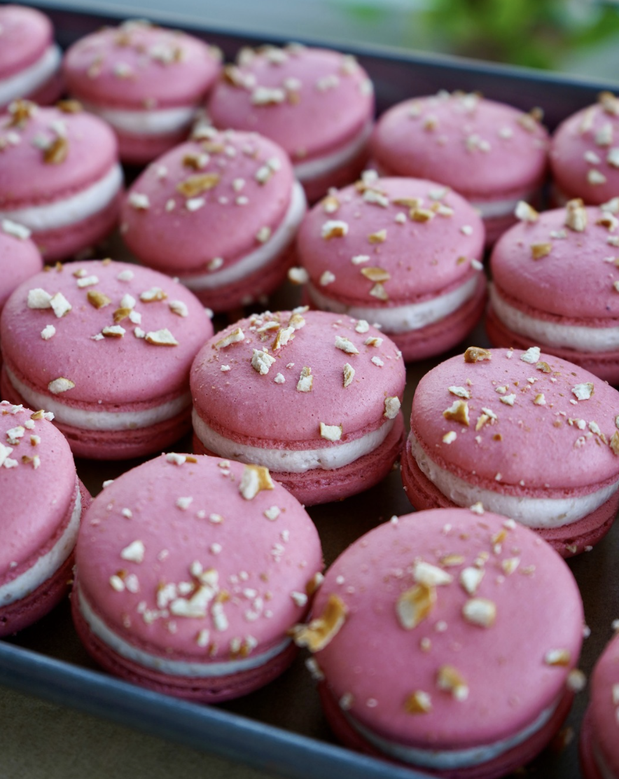 Screenshot 2026-03-27 at 9.37.59 AM.png