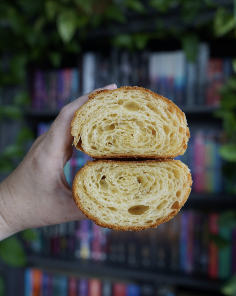 Screenshot 2026-04-06 at 10.51.45 AM.png