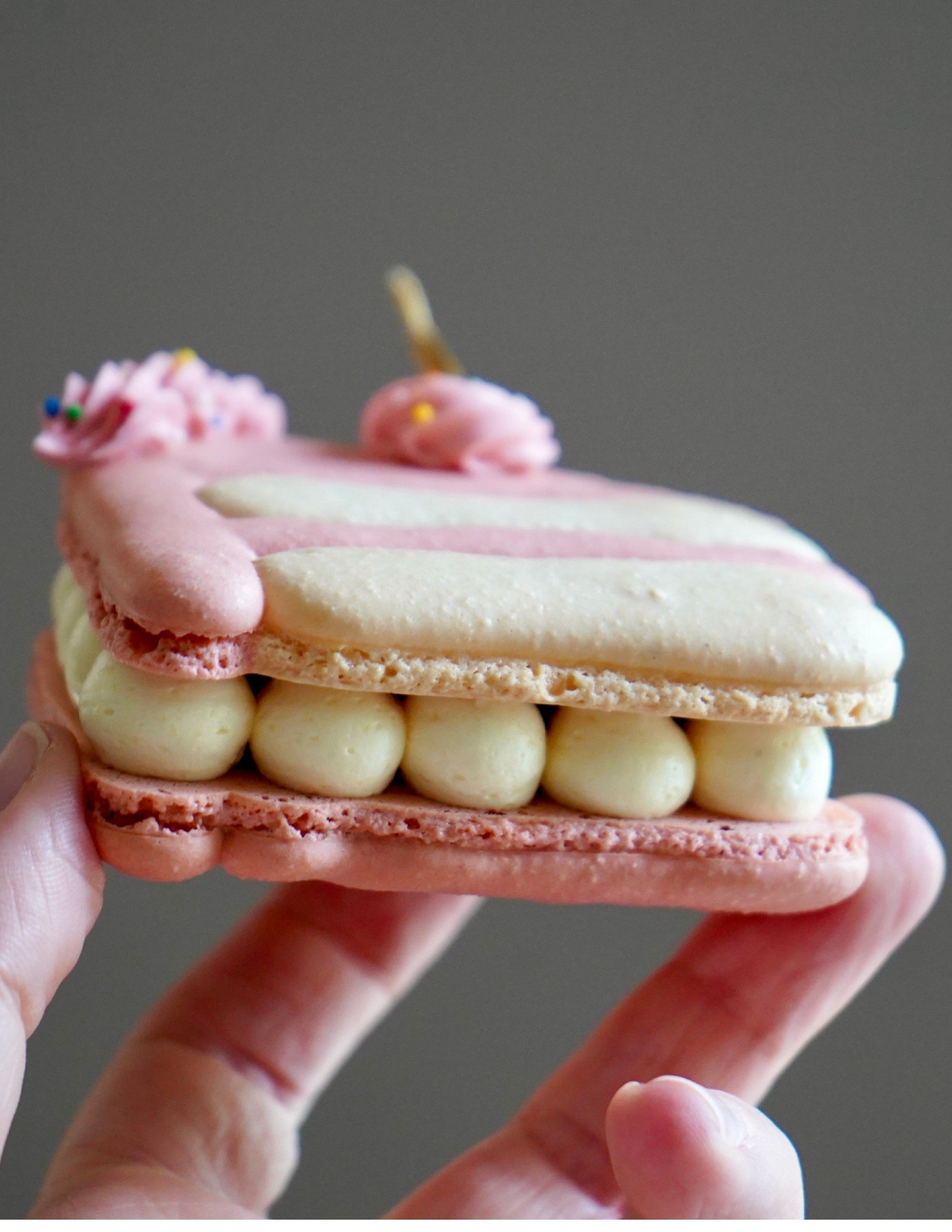 Birthday Party Macaron eBook (No Video Links) 64.jpeg