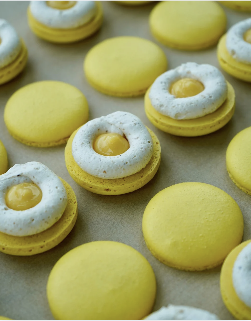 Screenshot 2026-03-20 at 4.44.25 PM.png