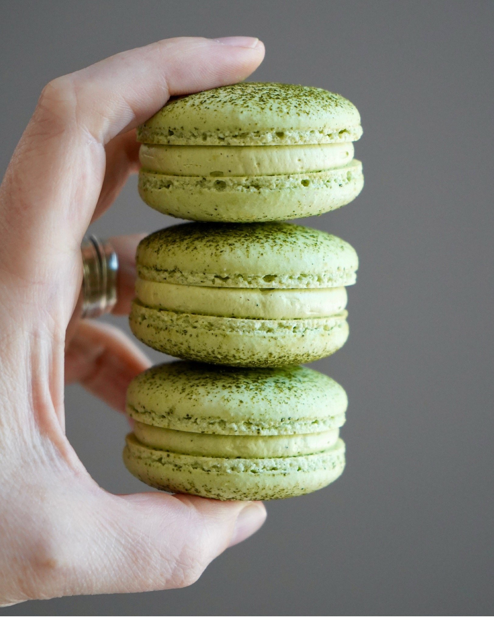 Macaron Shells 2025 Edition 7.jpeg