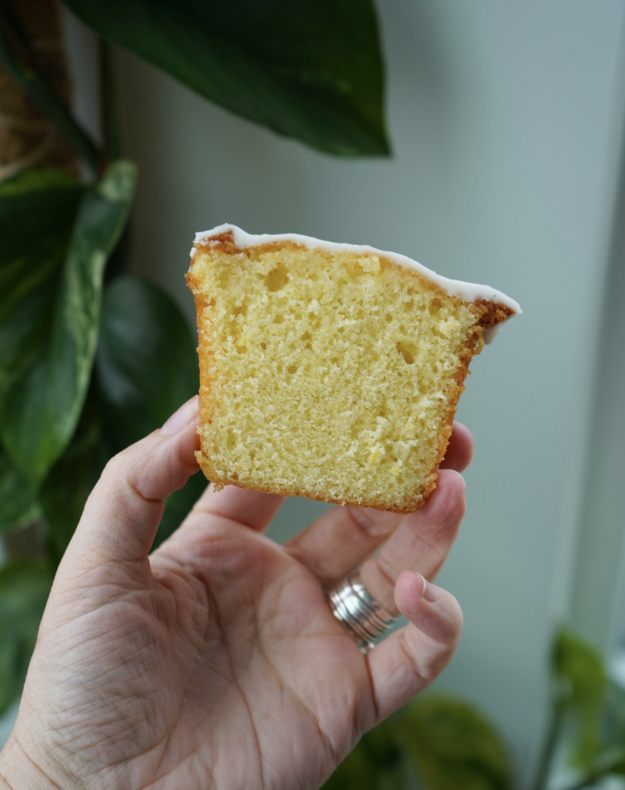 Screenshot 2026-01-31 at 5.38.38 PM.png