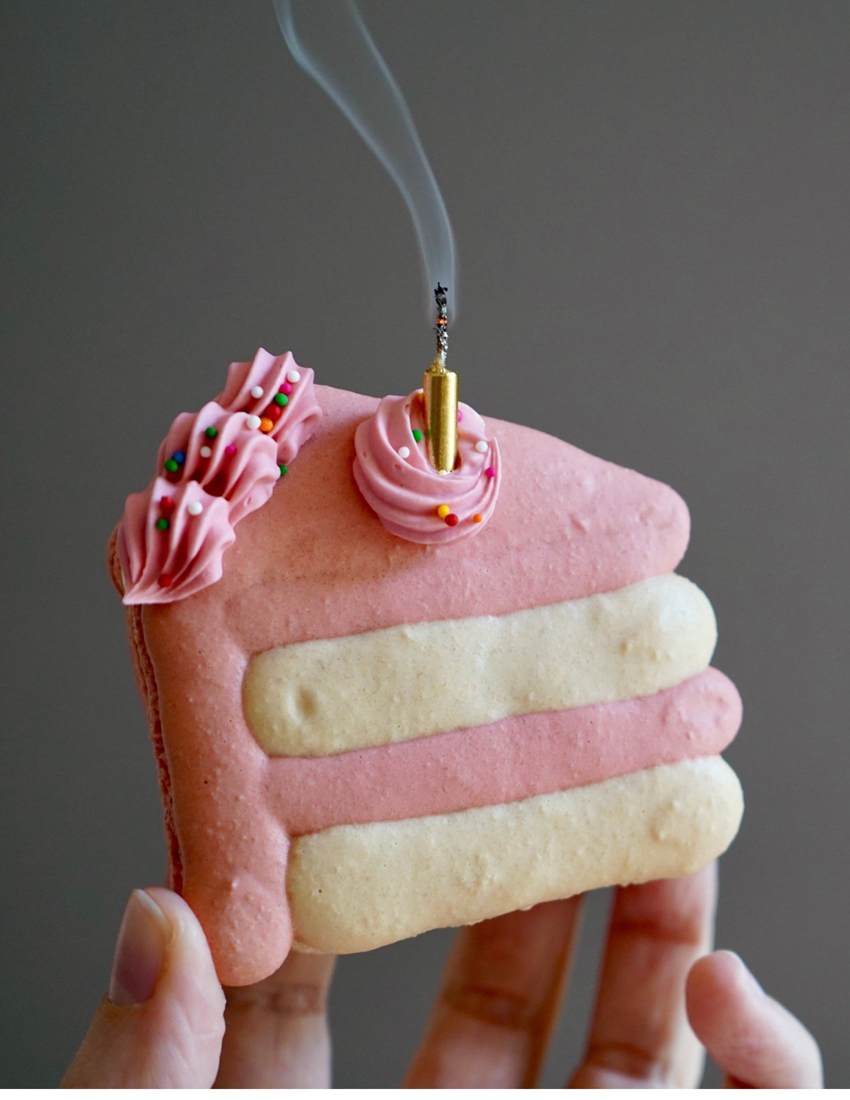 Birthday Party Macaron eBook (No Video Links) 74.jpeg