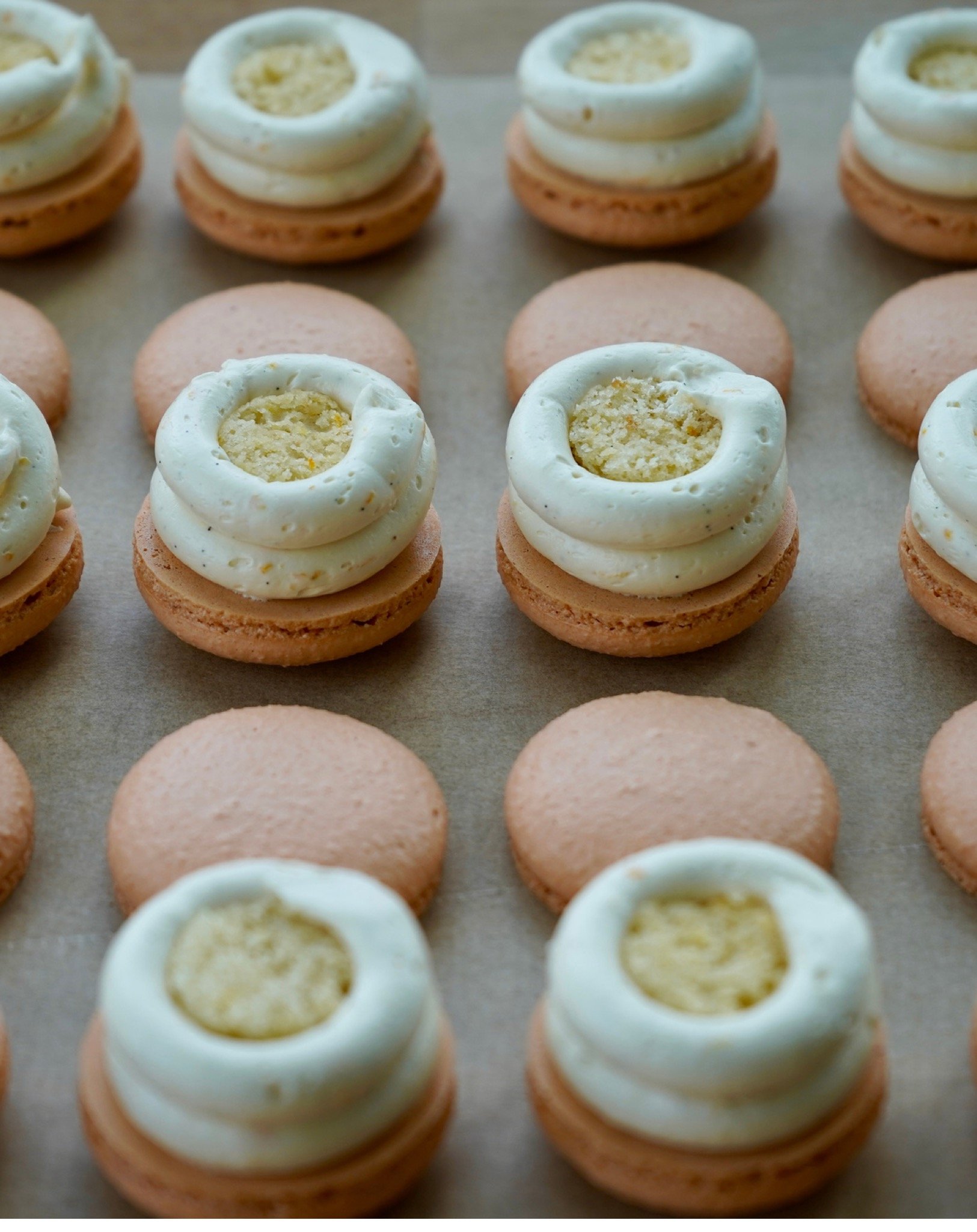 Buttercream Volume 3 - Macaron Filling Collection 151.jpeg