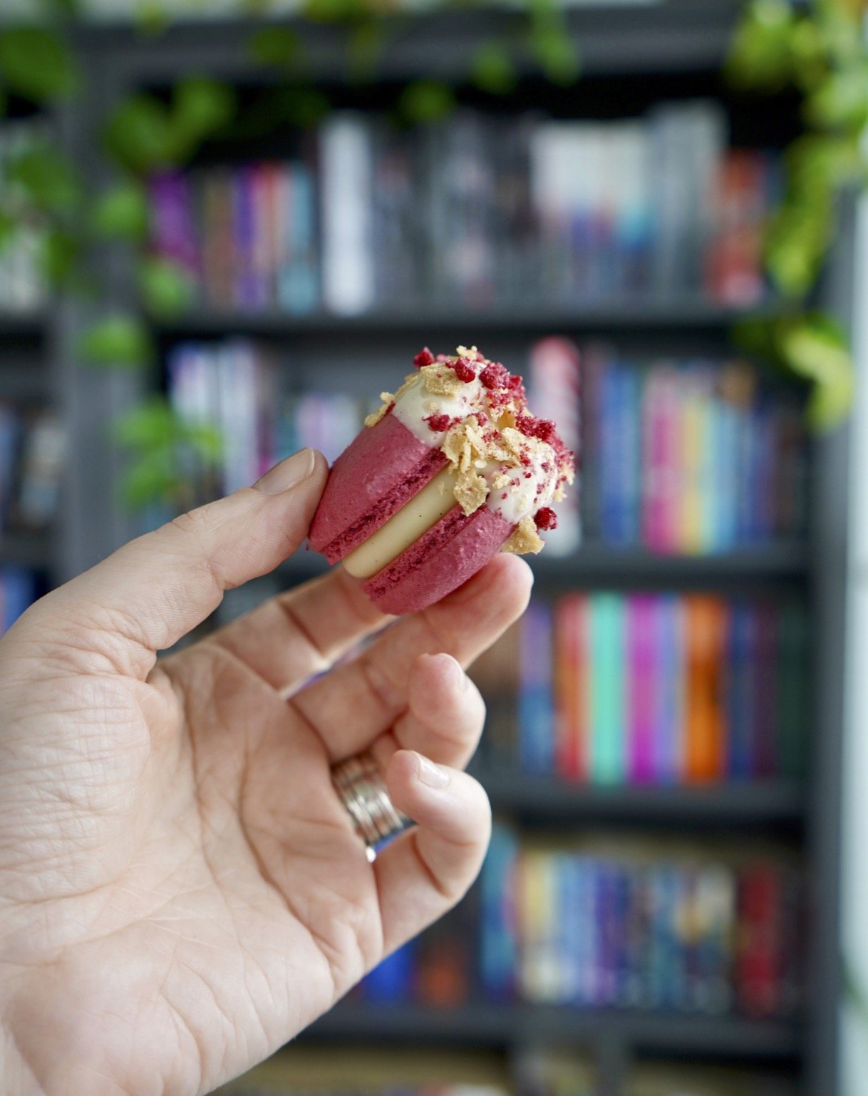 rasp choc 2.jpg