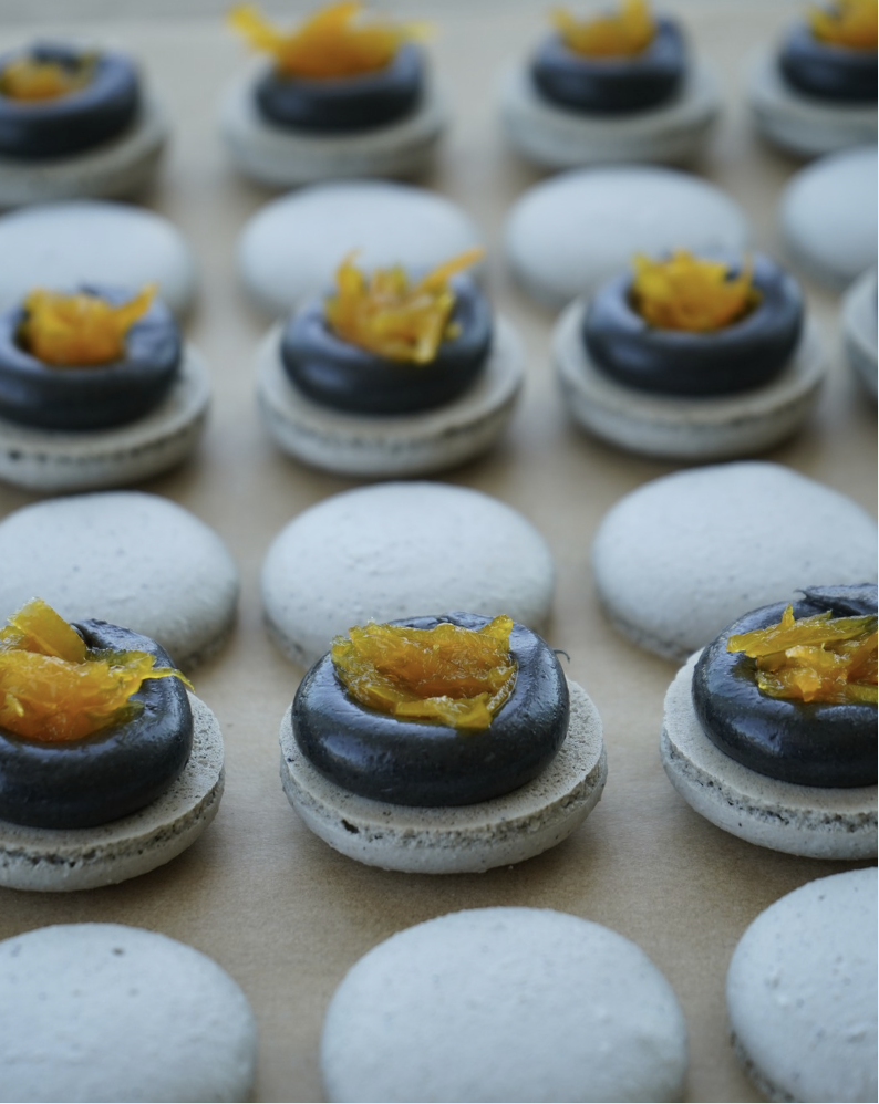 Screenshot 2026-04-06 at 10.51.12 AM.png