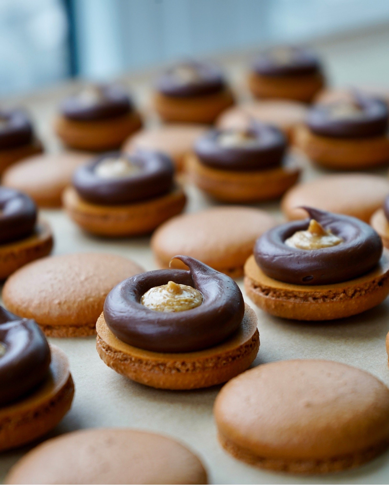 Chocolate Peanut Praline Macarons 7.jpeg
