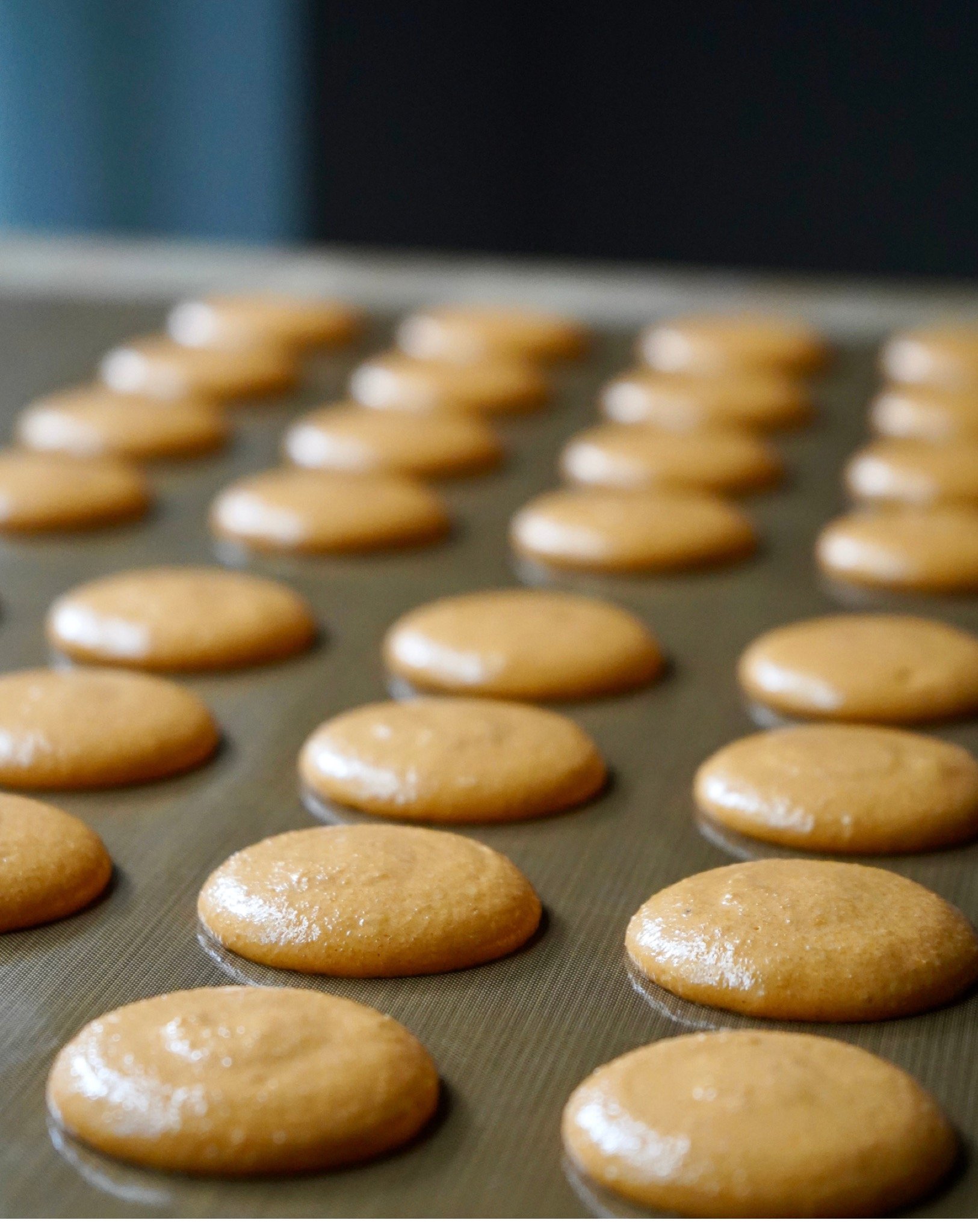 Macaron Shells 2025 Edition 23.jpeg
