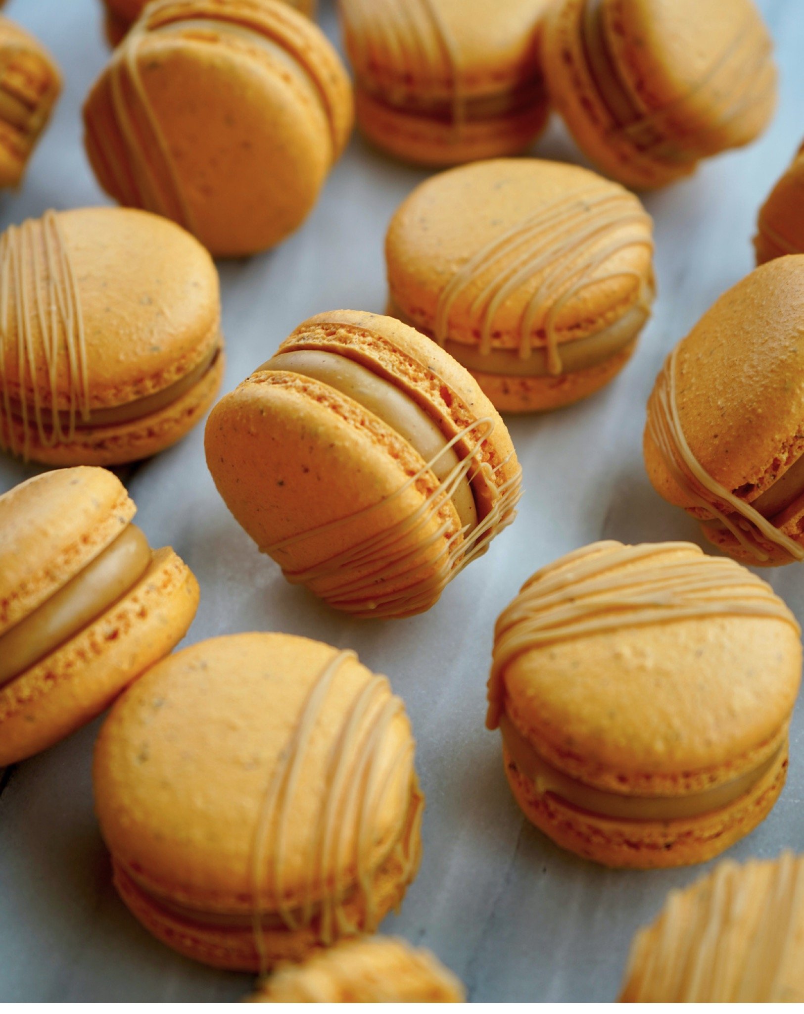 Ganache Volume 3 - Macaron Filling Collection 105.jpeg