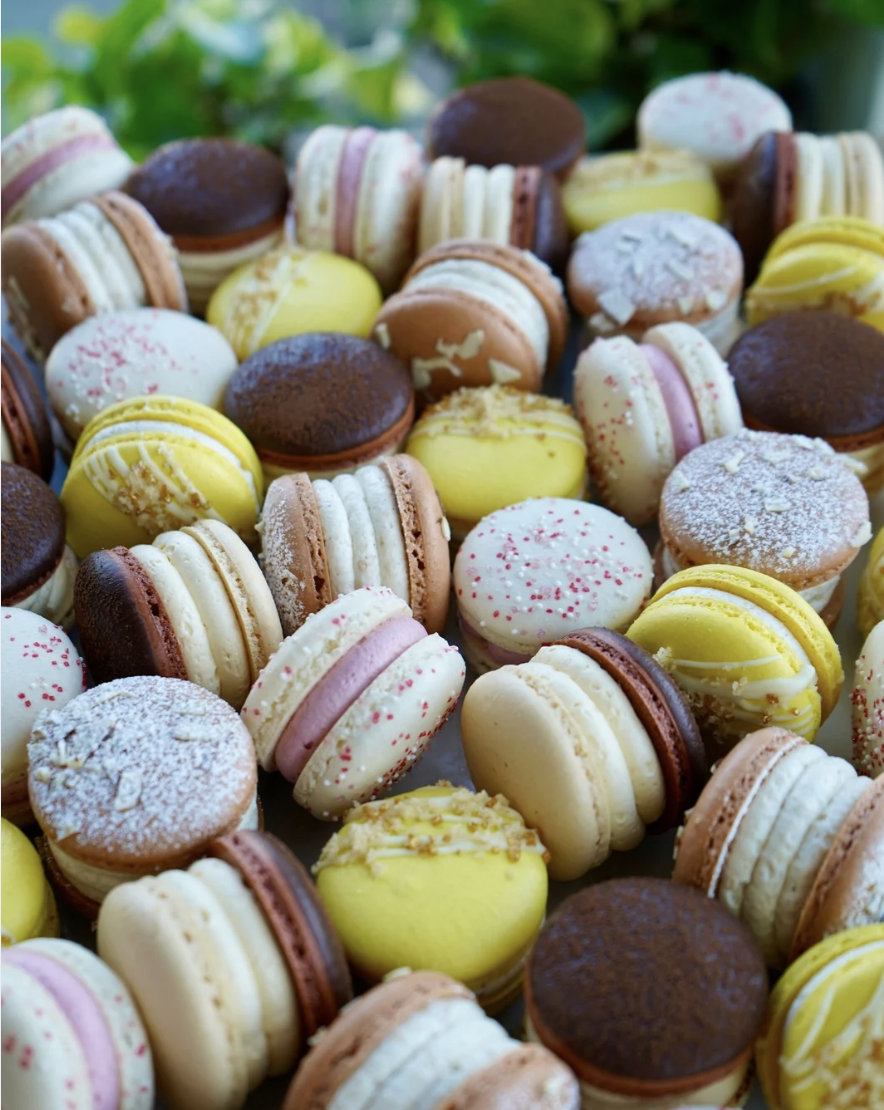 Screenshot 2026-03-20 at 4.44.05 PM.png