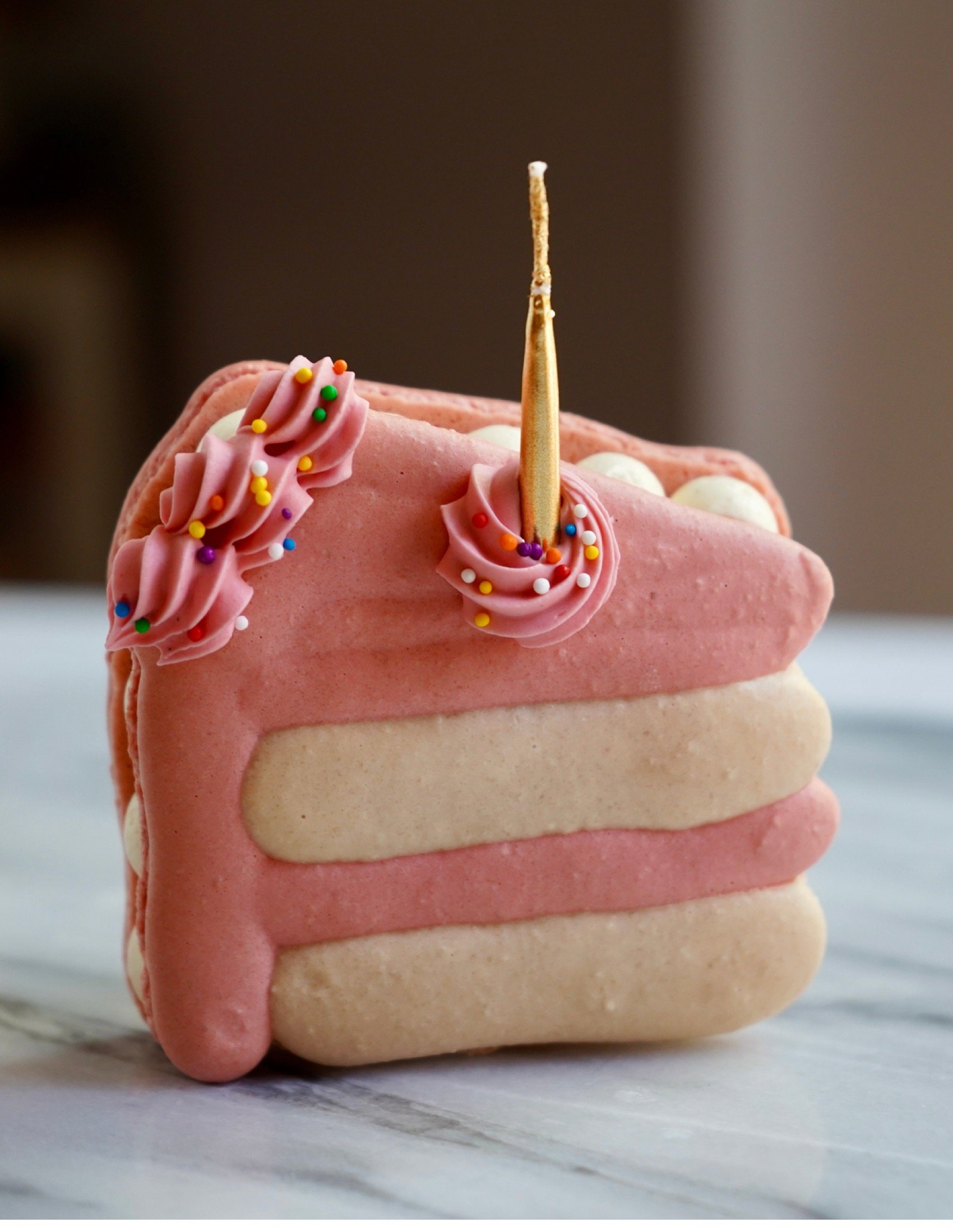 Birthday Party Macaron eBook (No Video Links) 29.jpeg