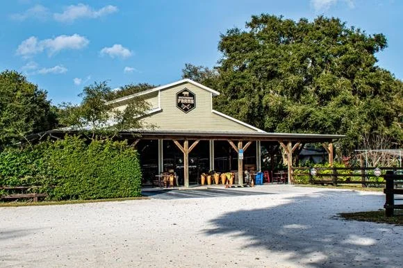 Coffee on the Farm